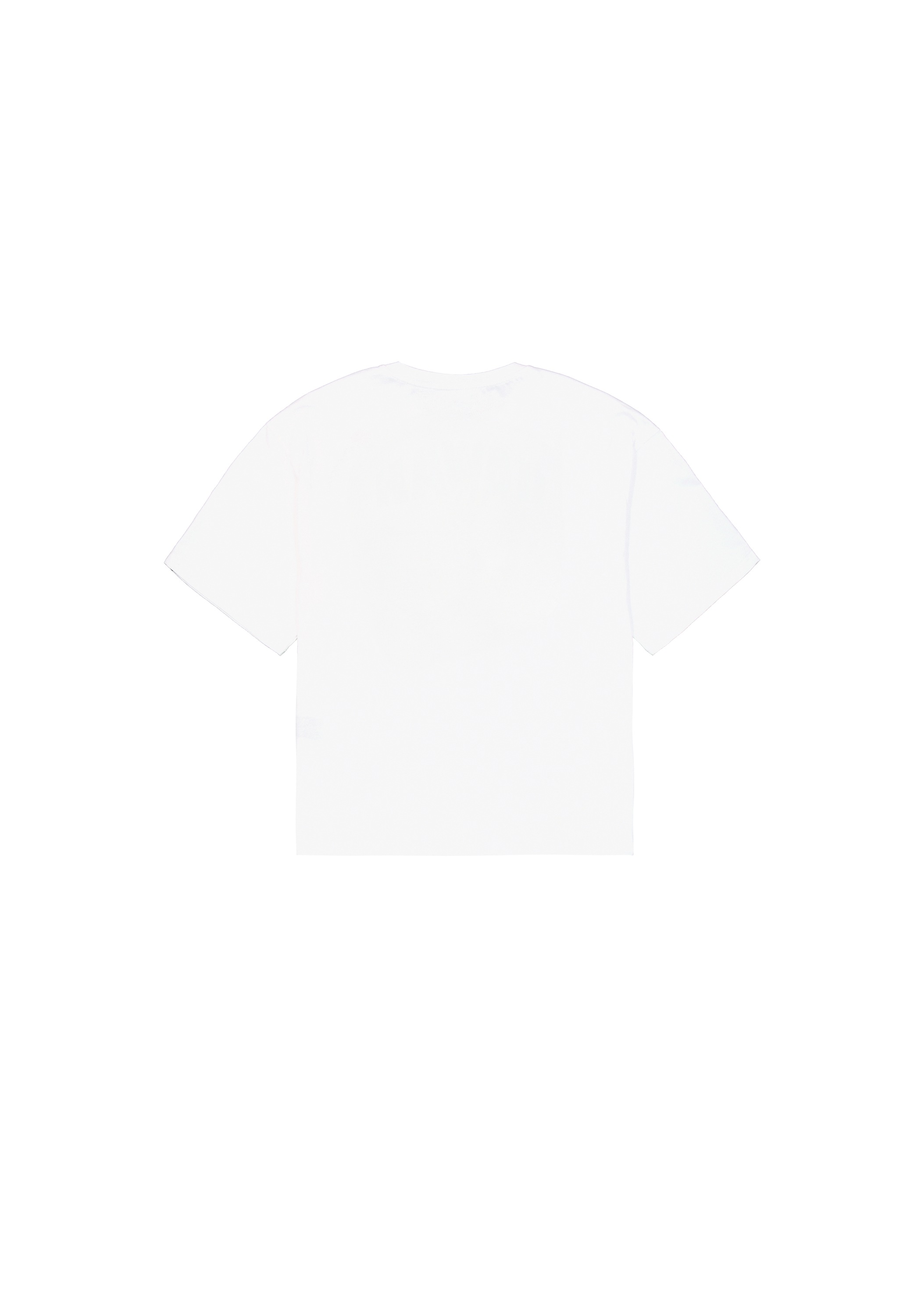 Alpha Industries T-Shirt »College T-Shirt«