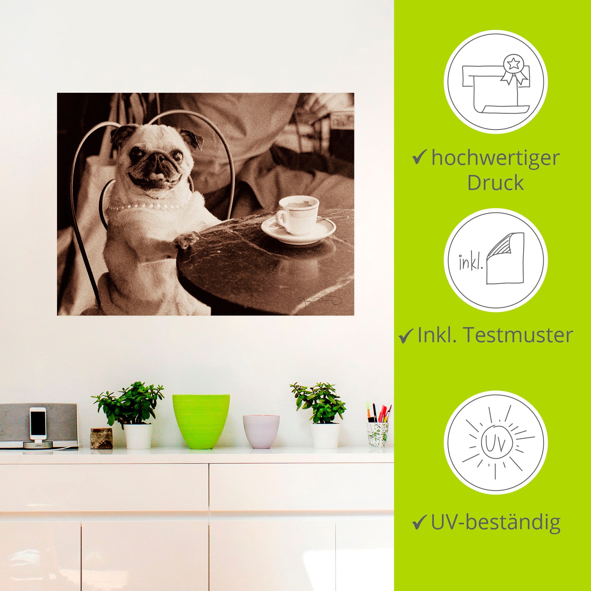 Artland Wandbild »Kaffee Mops«, Haustiere, (1 St.), als Leinwandbild, Poster, Wandaufkleber in verschied. Größen