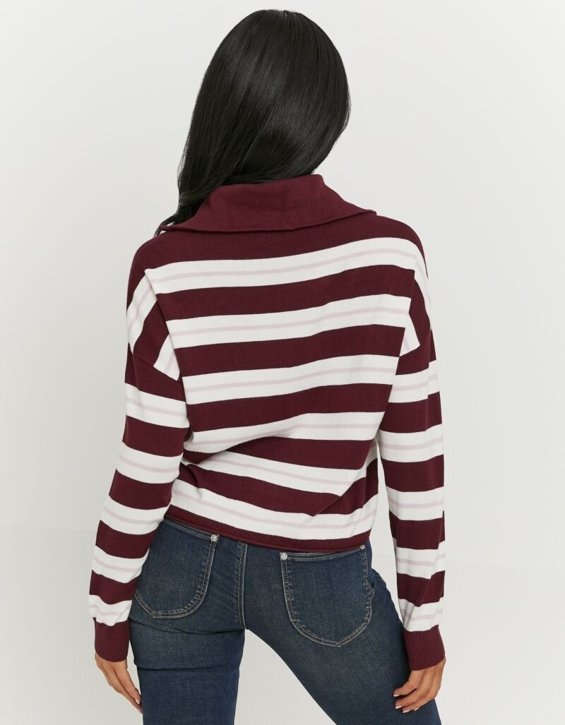 Tally Weijl Strickpullover »SPUVICOLINE« Viskosemischung, mit Troyer-Kragen