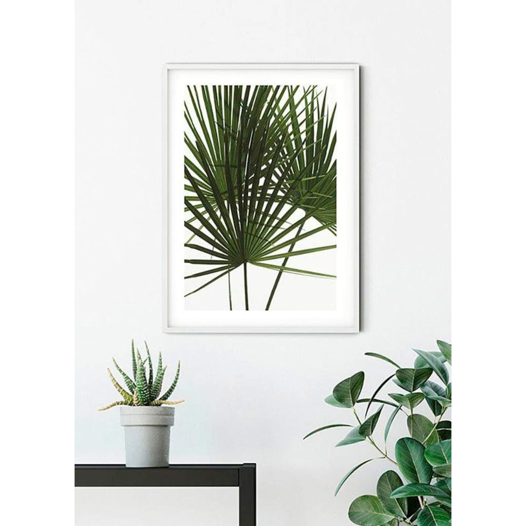 Komar Poster »Palmtree Leaves«, Pflanzen, (1 St.), Kinderzimmer, Schlafzimmer, Wohnzimmer