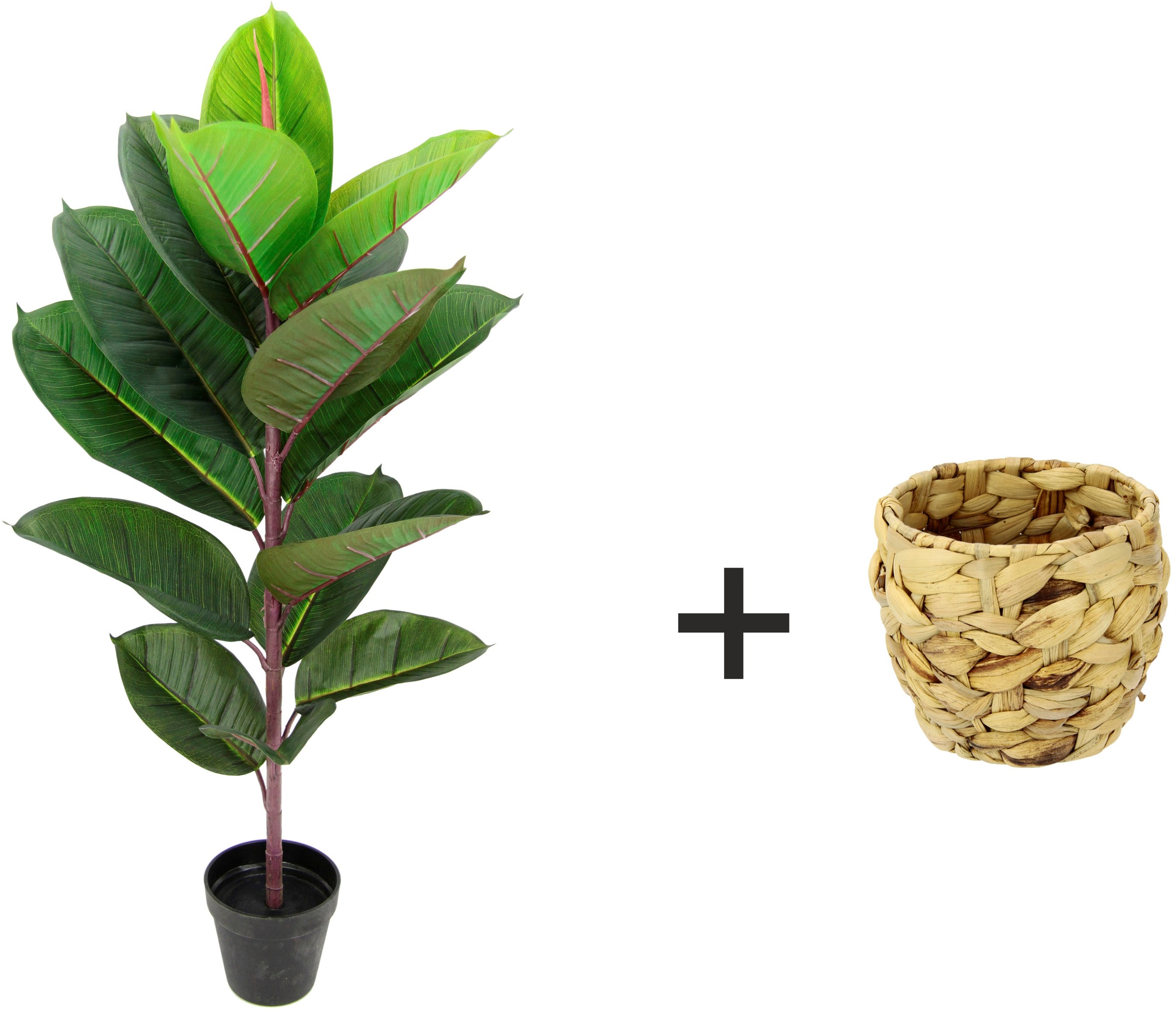 I.GE.A. Kunstbaum »Gummibaum«, Mit Übertopf, Ficus Elastica günstig online kaufen