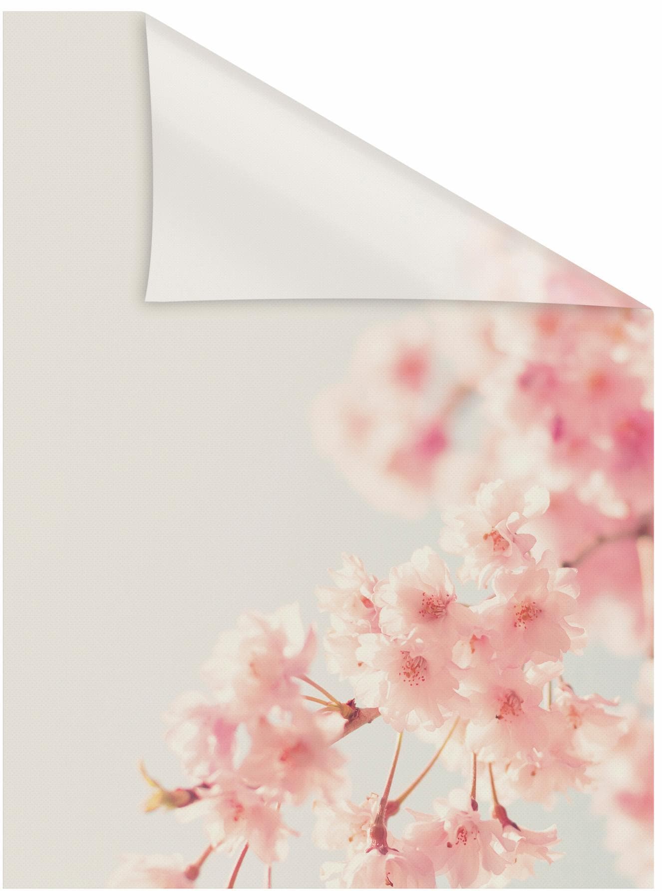 LICHTBLICK ORIGINAL Fensterfolie »Kirschbaum« 1 Stk. blickdicht strukturiert Klebepunkte selbstklebend, Sichtschutz orange B/L: 50 cm x 100 cm