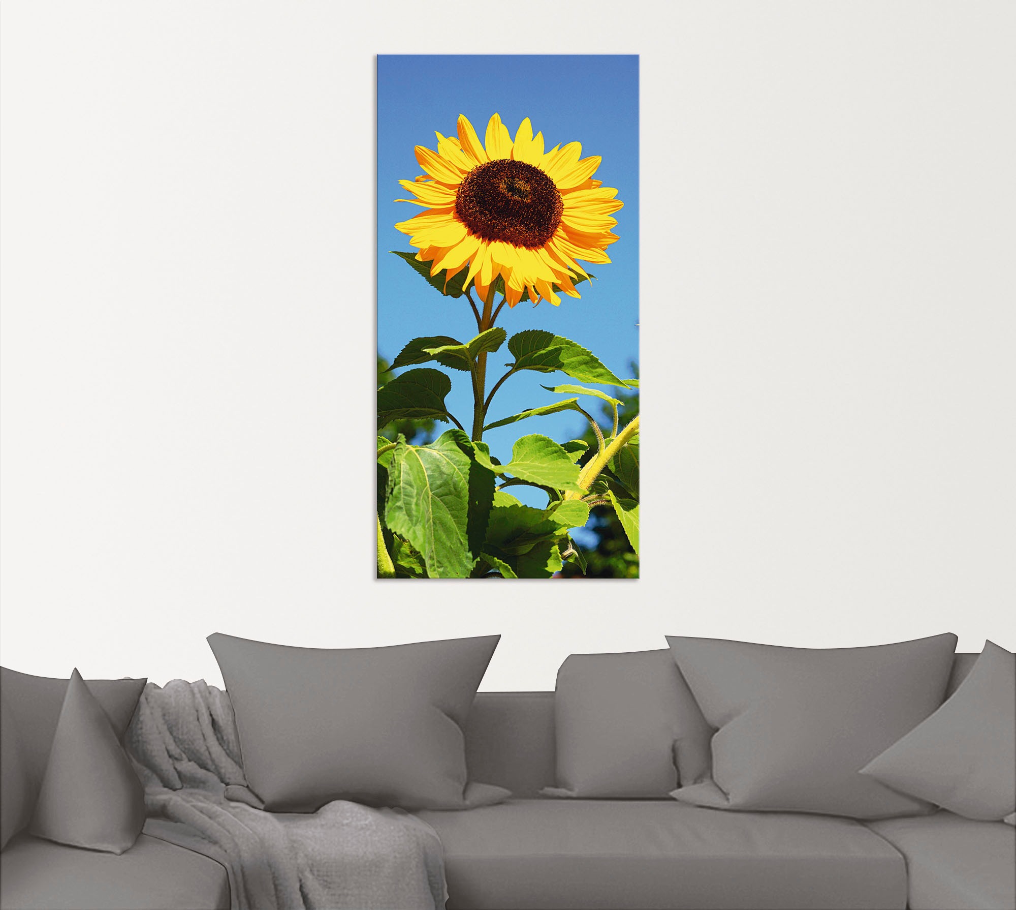 Artland Wandbild "Sonnenblume", Blumen, (1 St.), als Alubild, Outdoorbild, günstig online kaufen