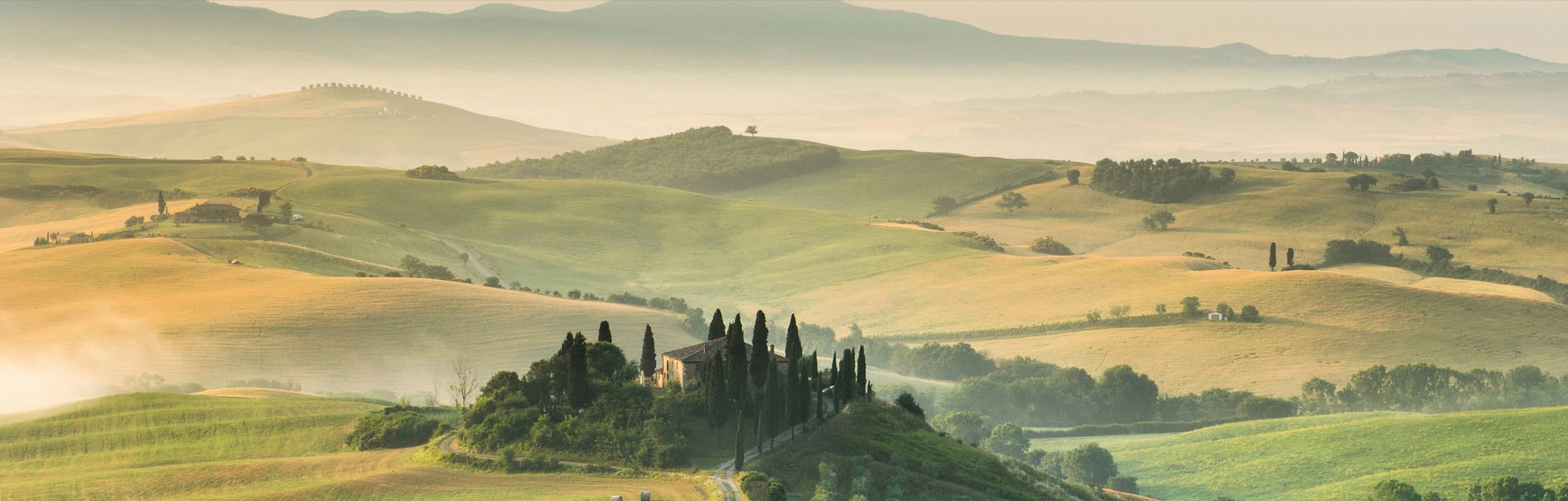 EXPRESS KÜCHEN Küchenrückwand »Toscana« grün
