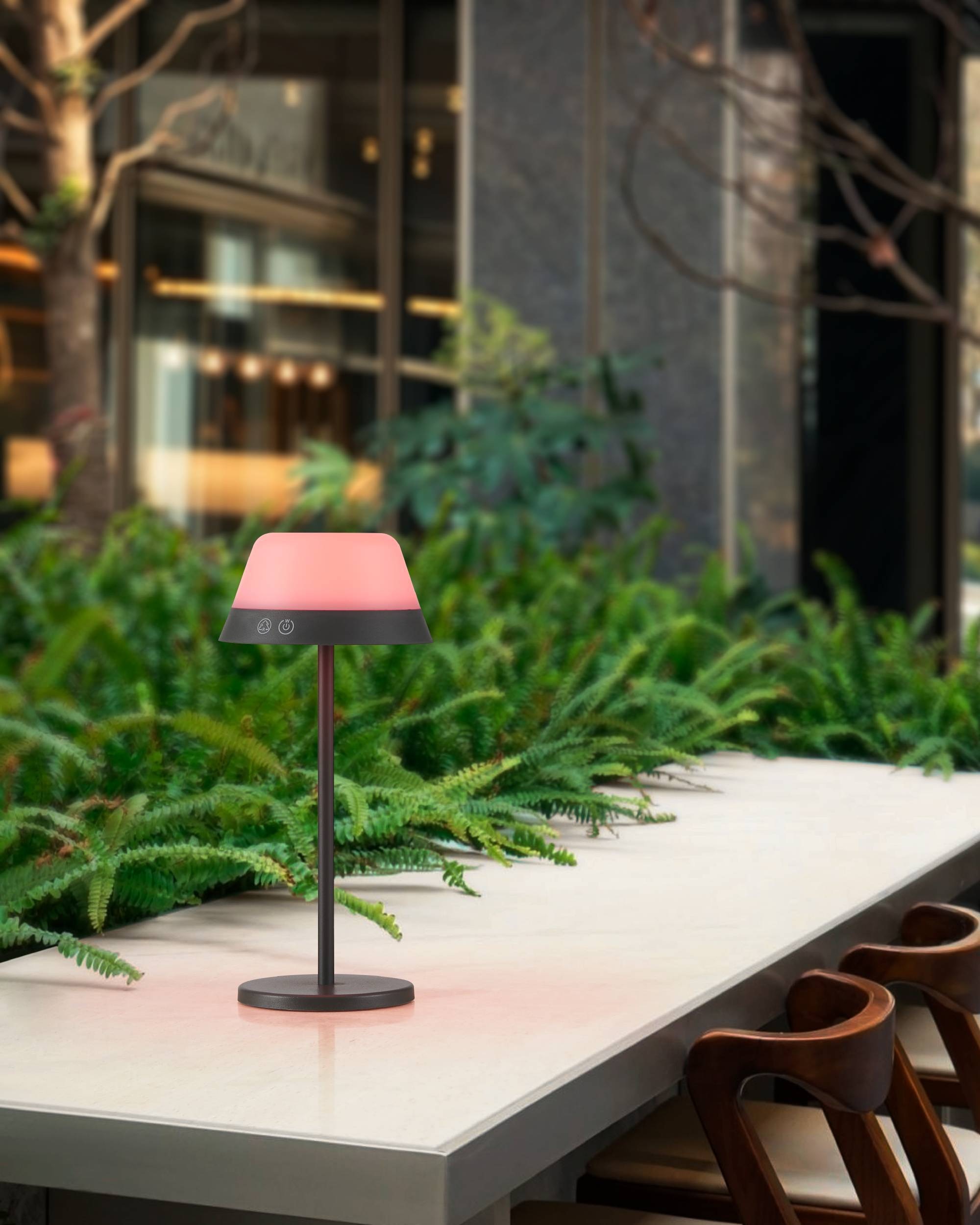 EGLO Tischleuchte »Meggiano Tischlampe, kabellos, aufhängbarer Lampenschirm, IP54, Lampe« LED-Modul 1 Stk. RGB | Warmweiß Tischleuchte - H32 x Ø15 cm - grau - 1X1,5W;1X0,8W inkl.