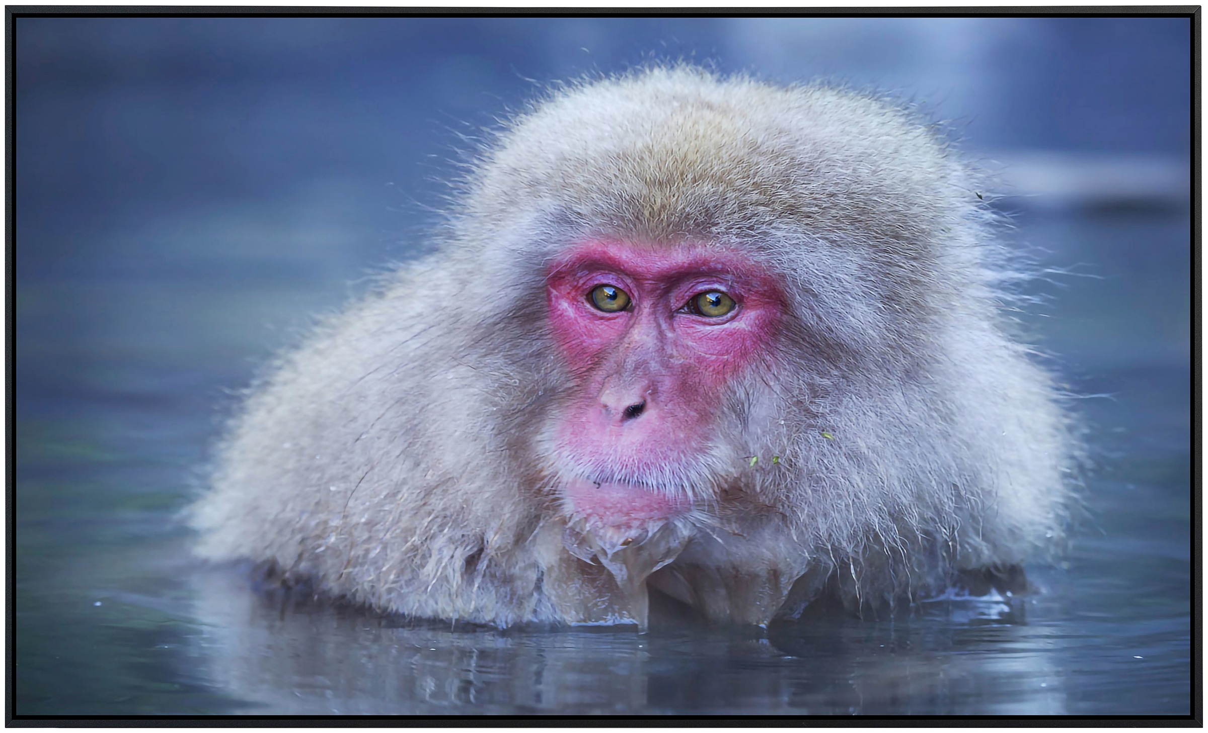 Papermoon Infrarotheizung »Affe im Wasser«, sehr angenehme Strahlungswärme günstig online kaufen