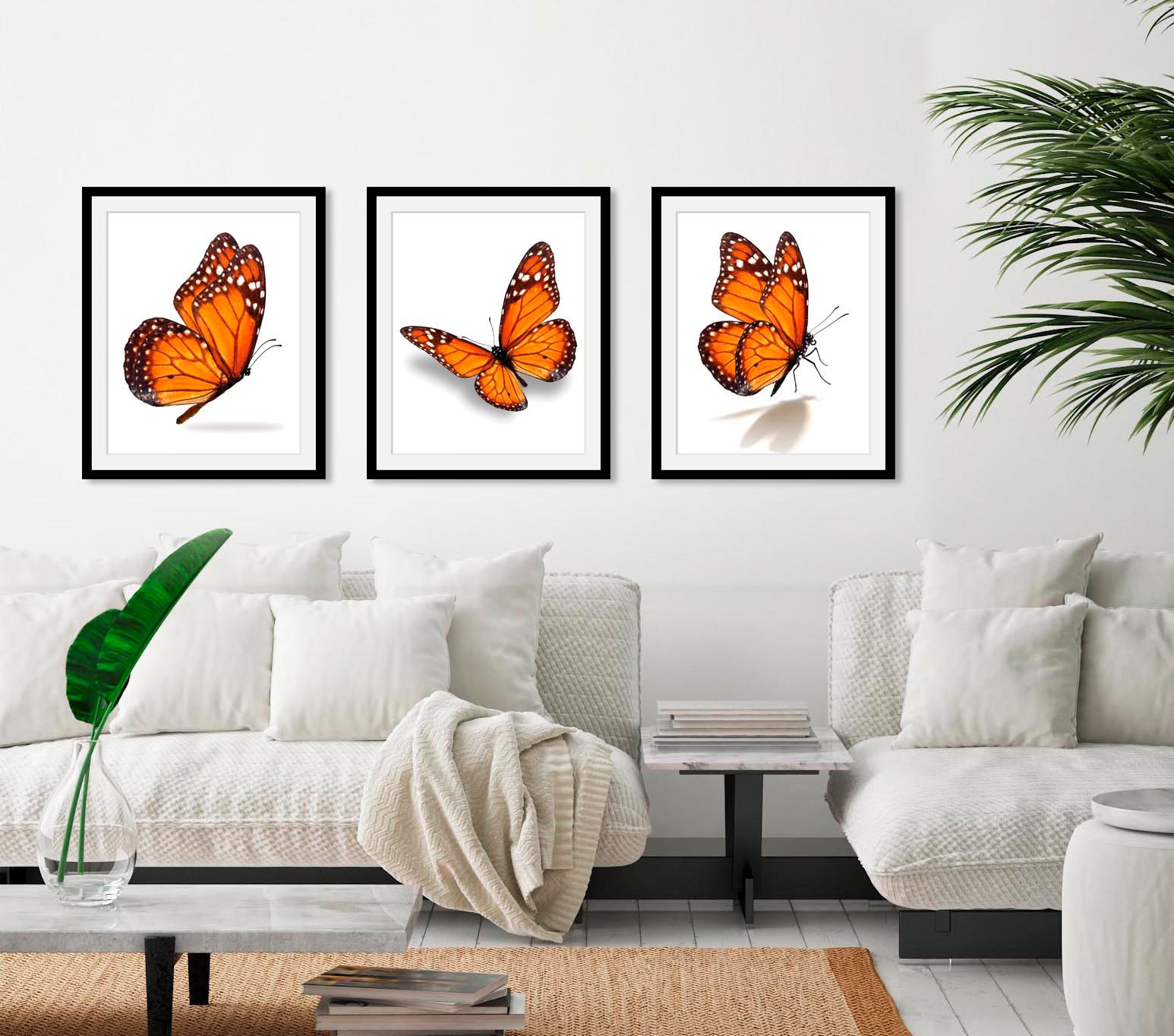 queence Bild »Evelina«, Schmetterlinge-Kunst-Insekten-historische Ereigniss günstig online kaufen