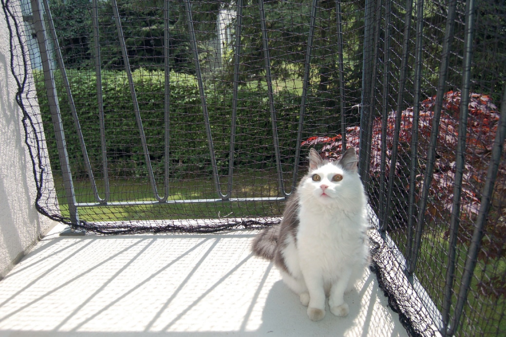 Windhager Schutznetz »für Katzen, Katzennetz für Balkon, Fenster, Verandas« Maschenweite 50 mm, HDPE Netzgewebe, 2,5 x 4 m, schwarz