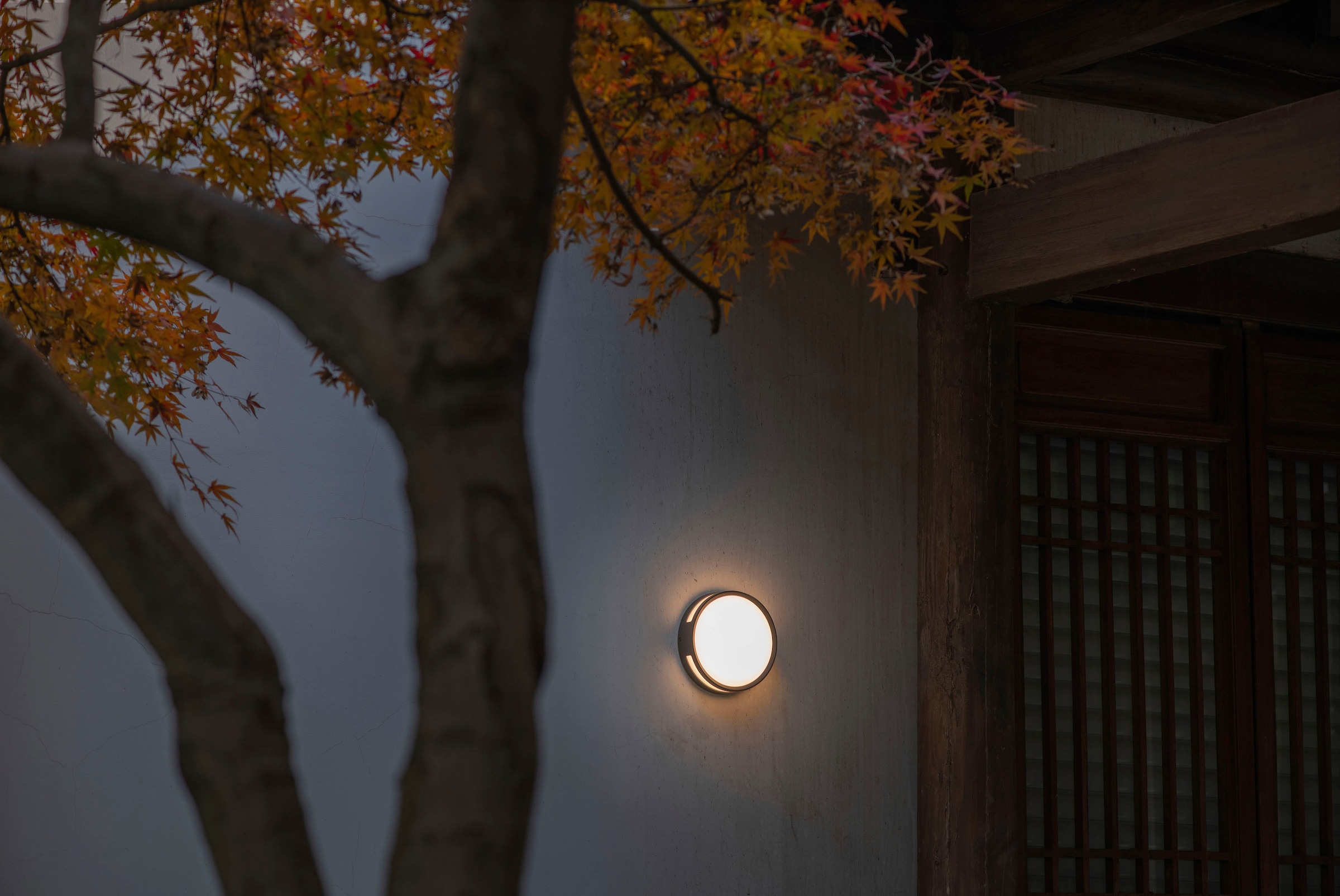 LUTEC LED Außen-Wandleuchte »ROLA«, Leuchtmittel LED-Modul | LED fest integriert