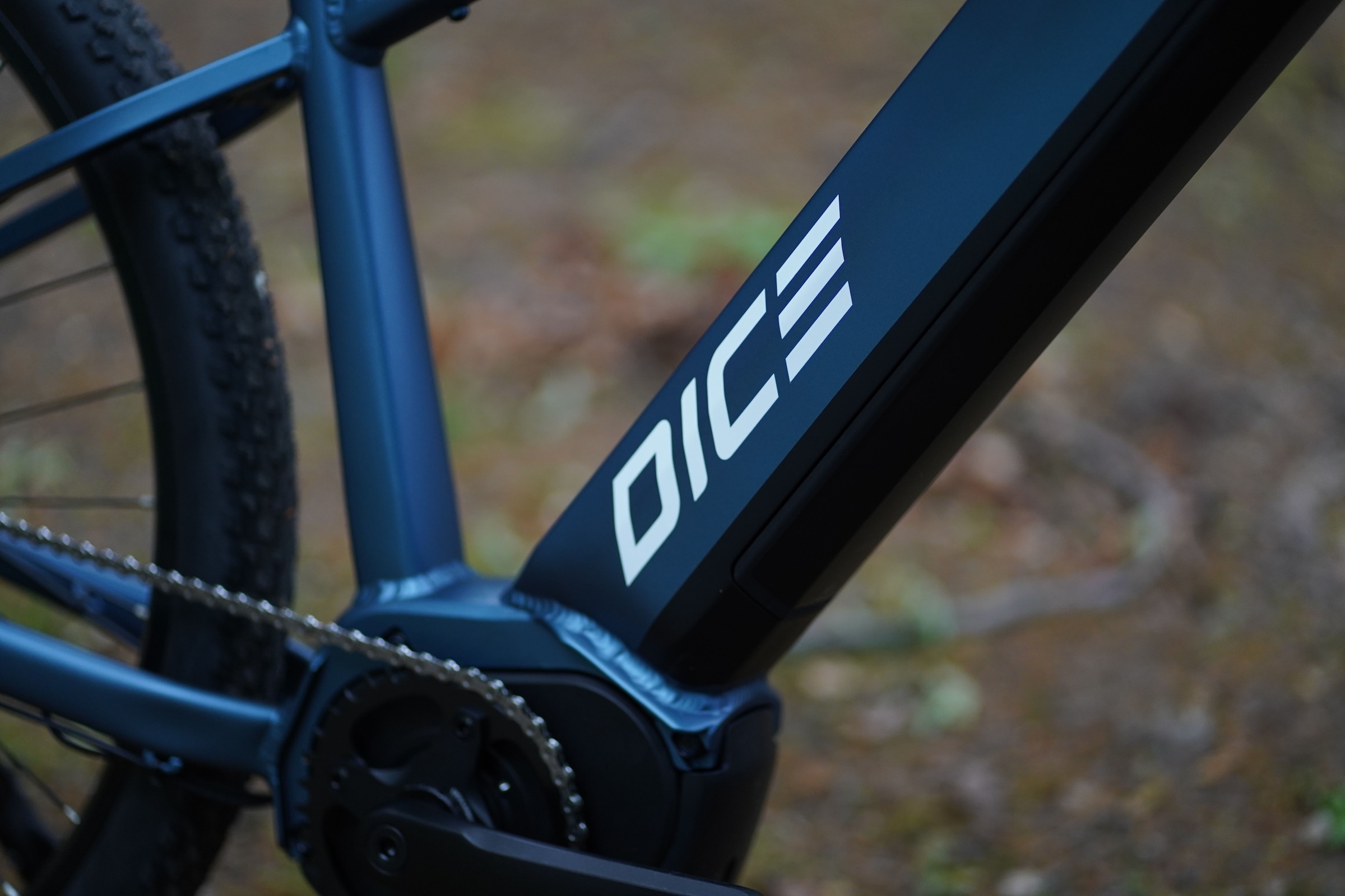 Prophete E-Bike »Dice 3.8«, 10 Gang, Shimano, Cues, Mittelmotor 250 W