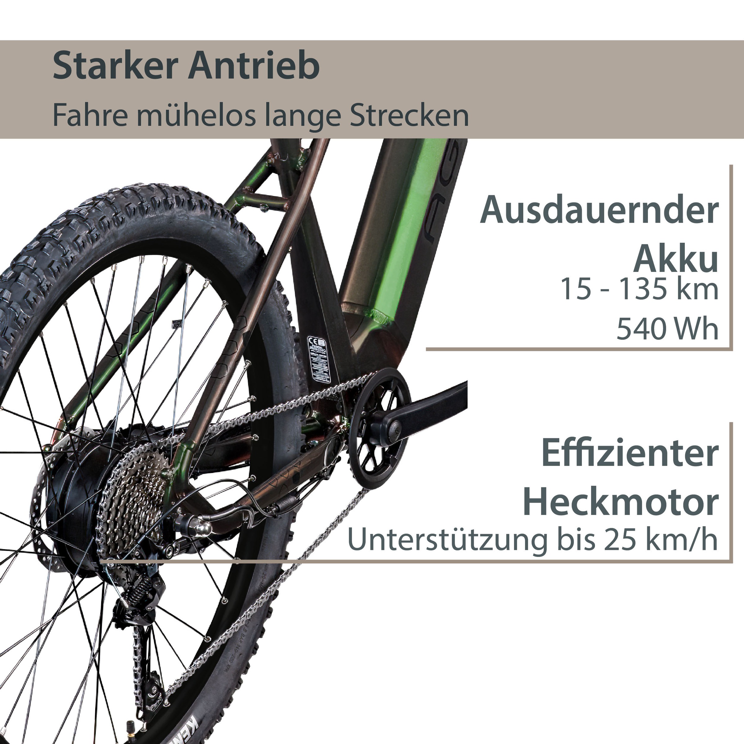 AGON E-Bike »Alpha«, 10 Gang, Deore SGS T6000, Heckmotor 250 W, Pedelec, Elektrofahrrad für Damen u. Herren, MTB
