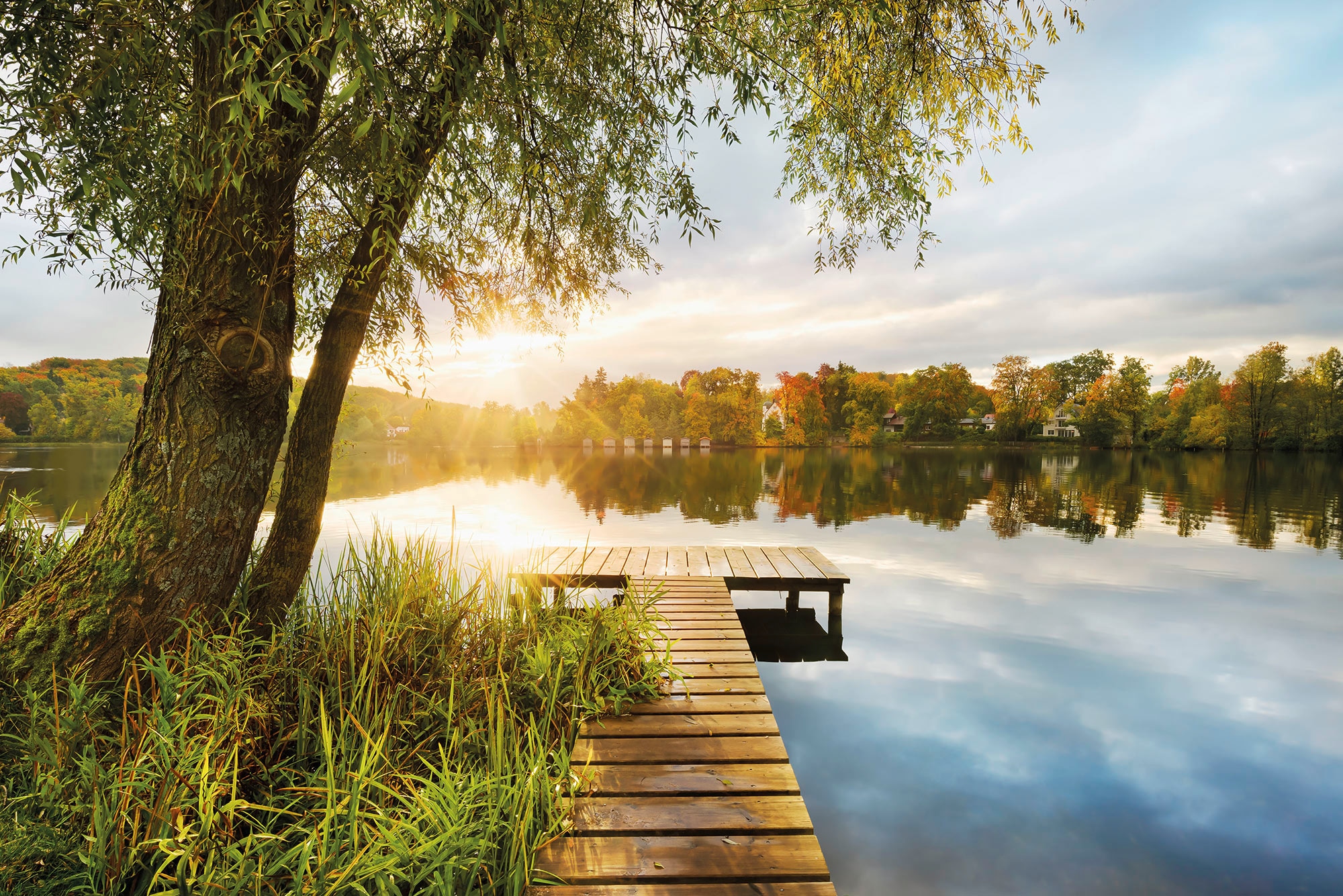 Komar Fototapete »Fototapete«, bedruckt, Vlies Fototapete - Picnic - Größe günstig online kaufen