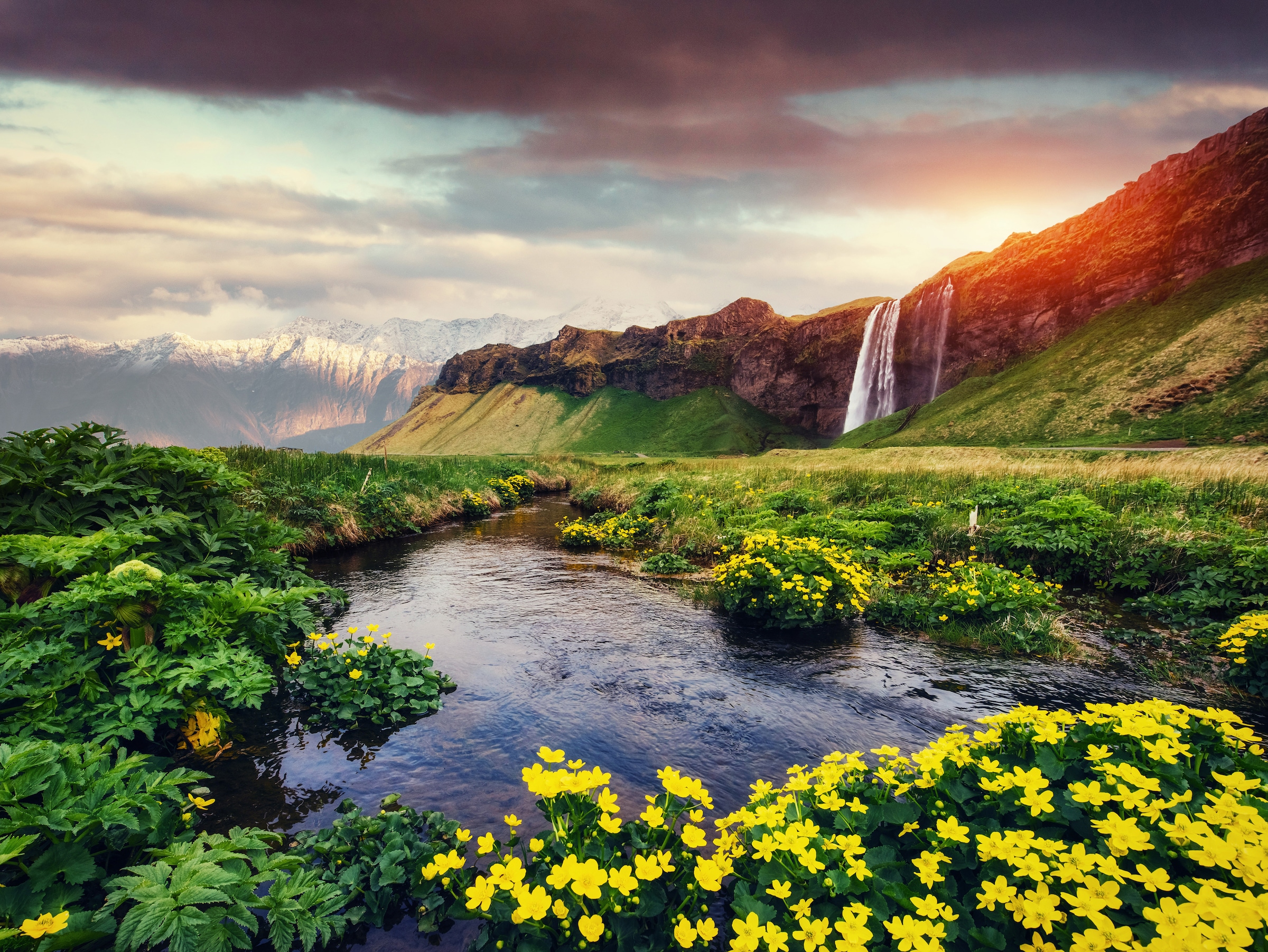 Papermoon Fototapete »Seljalandfoss waterfall Iceland« günstig online kaufen