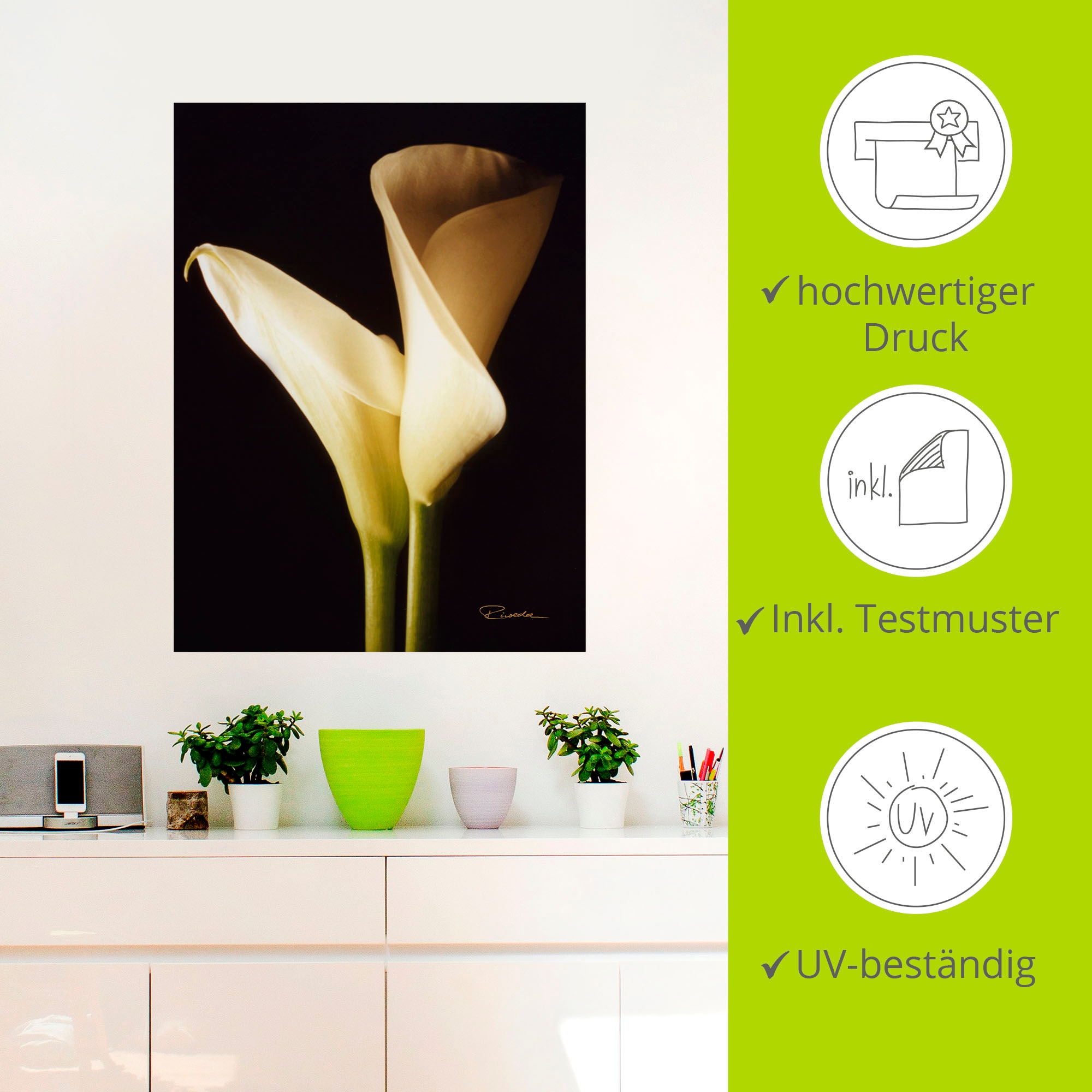 Artland Wandfolie »Wunderschöne Zantedeschien I«, Blumen, (1 St.), selbstklebend