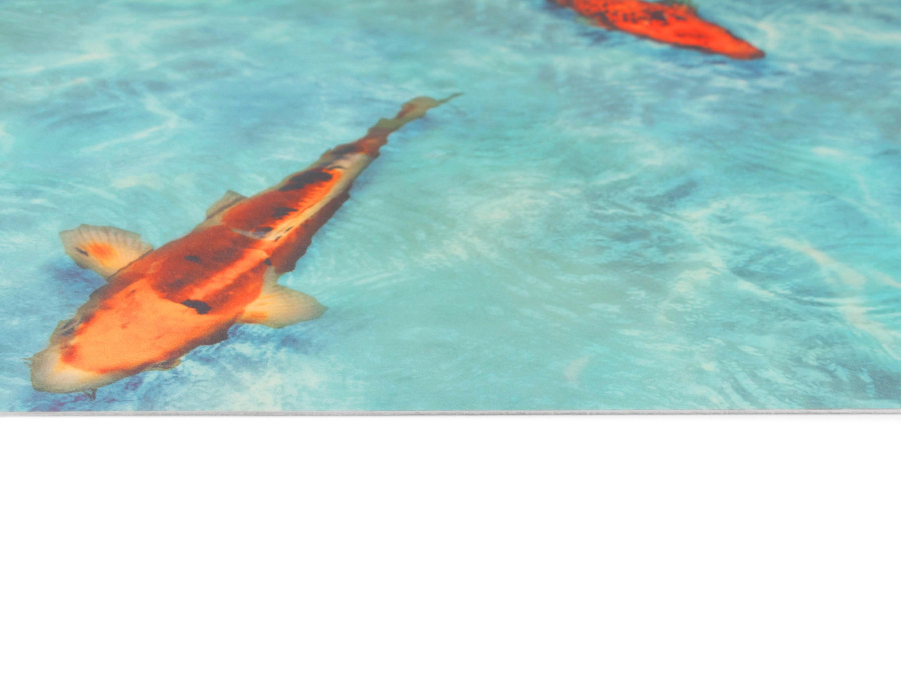 Primaflor-Ideen in Textil Vinyl-Läufer »Küchenläufer KOI, Made in Belgium«, rechteckig, 2,5 mm Höhe, Küchenläufer aus Vinyl, abwischbar, Motiv Koi Fisch, Küche