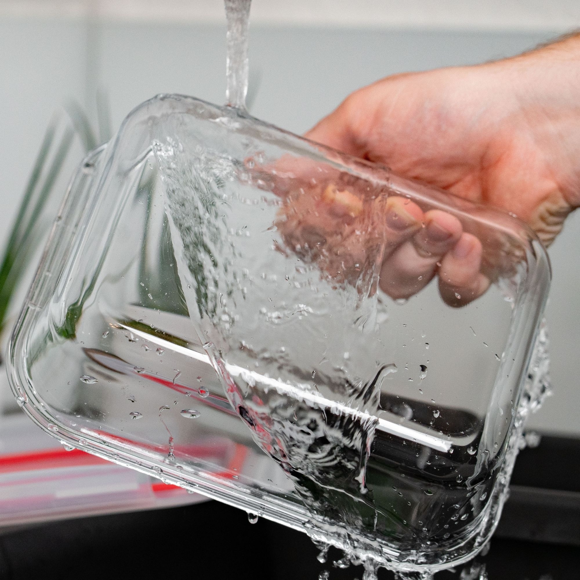 WESTMARK Frischhaltedose »Glas-Frischhaltedose, 1520 ml«, (1 tlg.), mikrowellen- und ofenfest