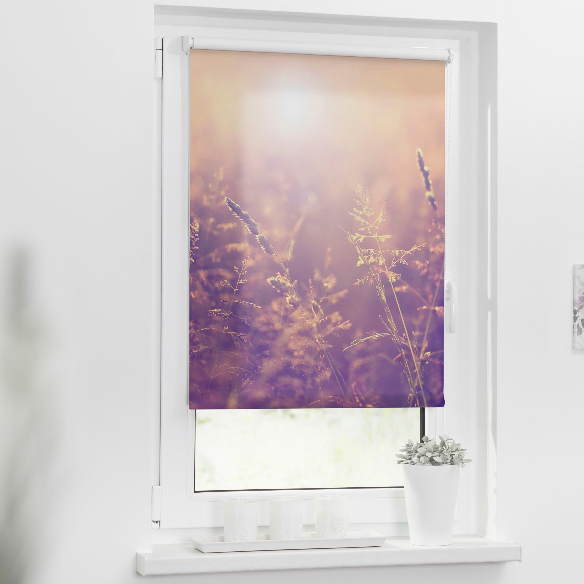 LICHTBLICK ORIGINAL Seitenzugrollo »Klemmfix Motiv Sommerabend«, Lichtschut günstig online kaufen