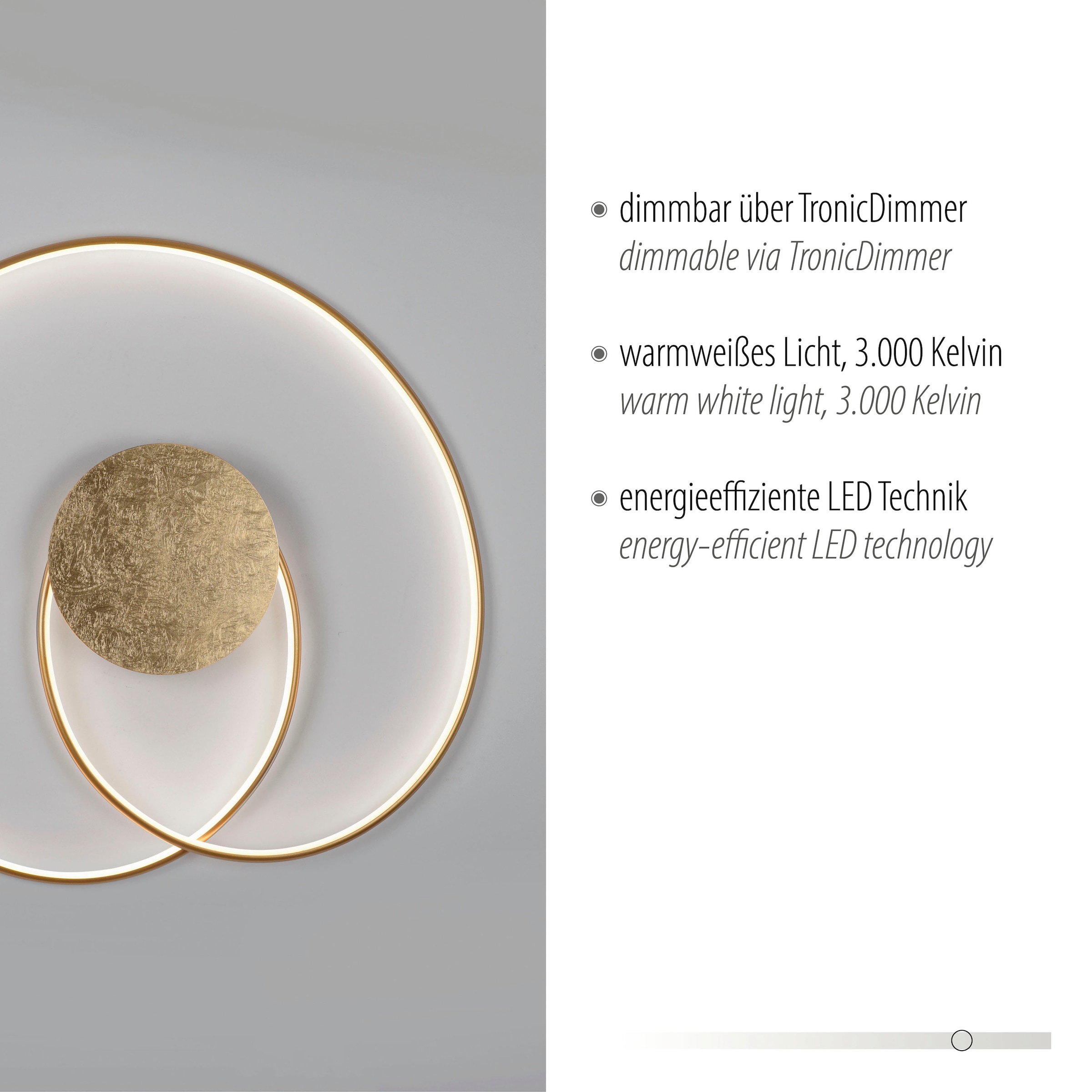 Paul Neuhaus LED Deckenleuchte »NASTRO«, 1 flammig, Leuchtmittel LED-Board | LED fest integriert
