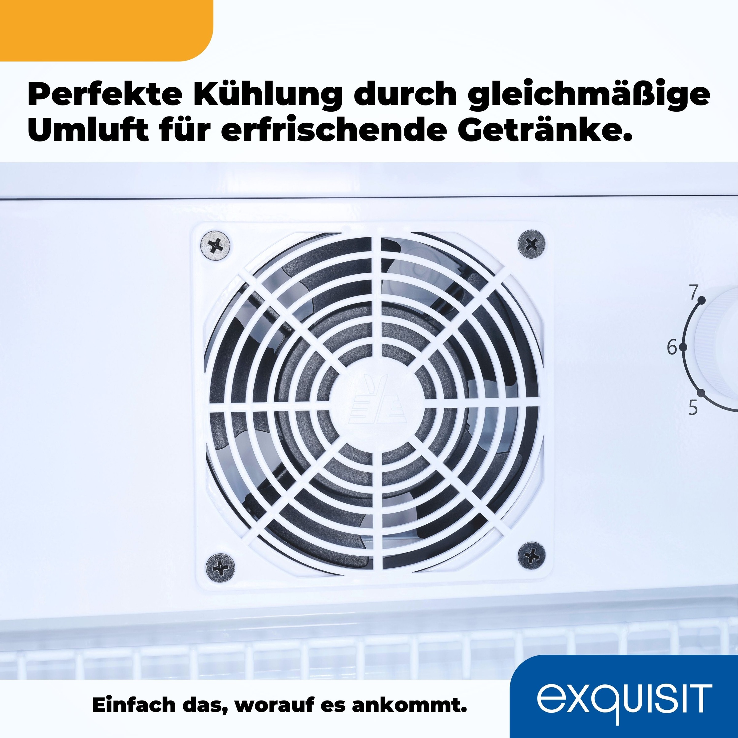 exquisit Getränkekühlschrank »GKS240-GT-160C weiss« 140 cm hoch 54 cm breit günstig online kaufen