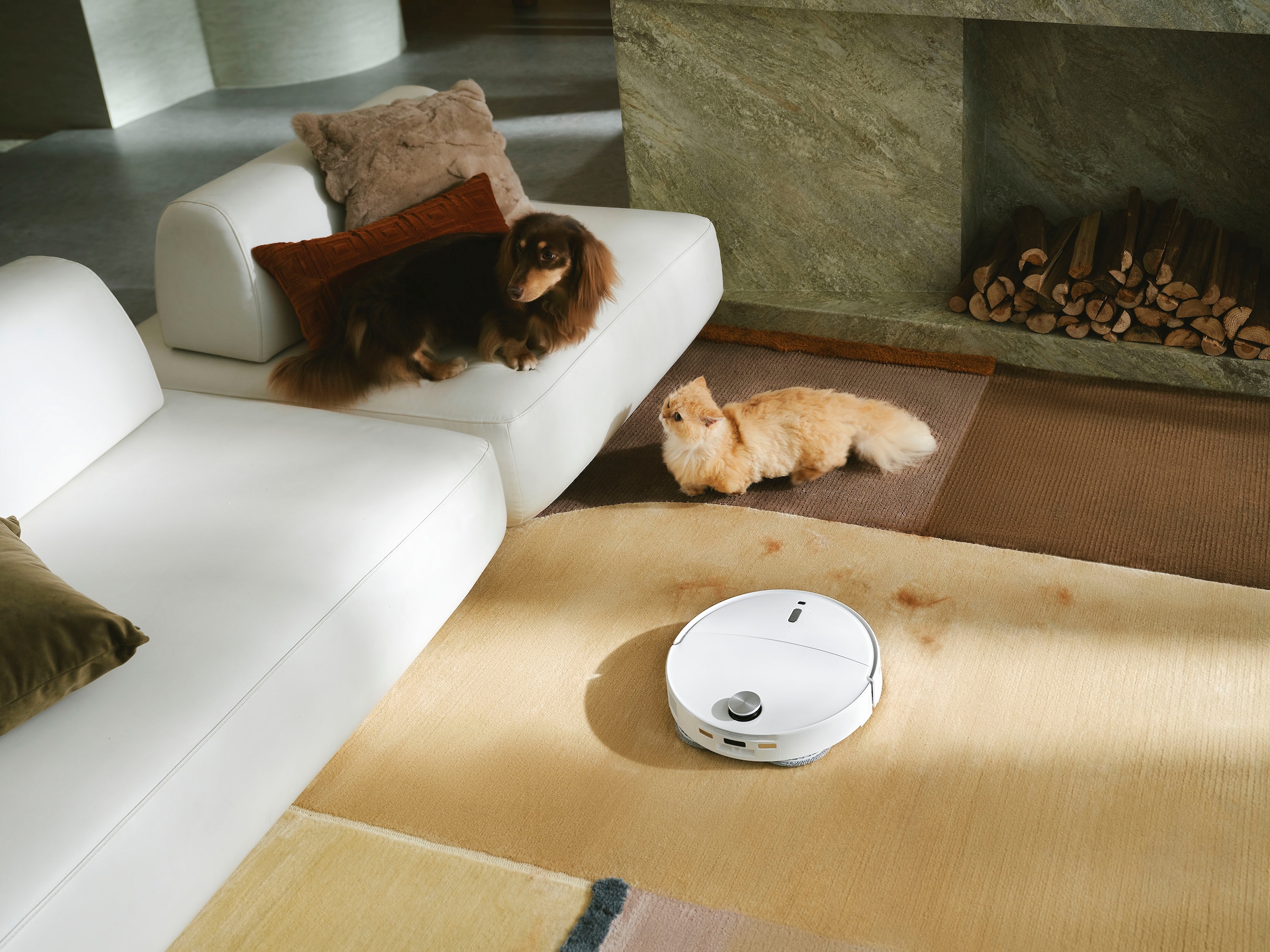 Roborock Nass-Trocken-Saugroboter »Qrevo Curv 2 Pro mit Wischfunktion« FlexiArm Design Seitenbürste, DuoDivide Bürste, autom. Moppreinigung.