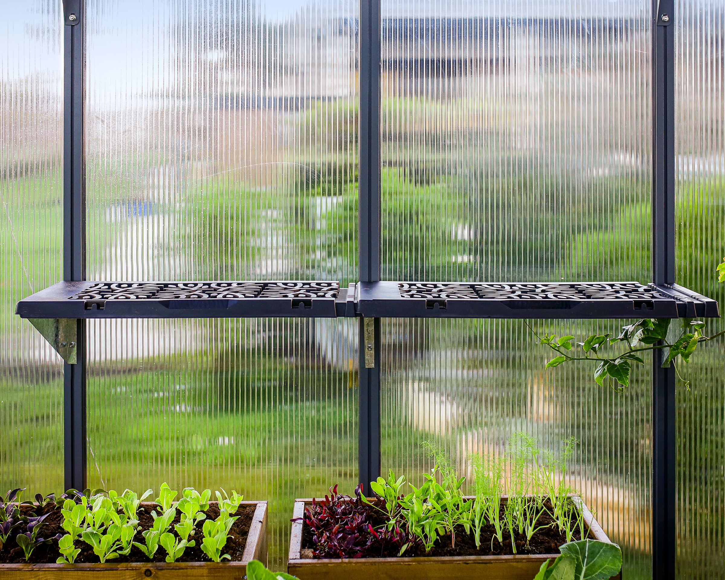 Palram - Canopia Anbauregal »Regalset für Gewächshäuser« Set, 8 Stk. tlg. 20 kg Tragkraft je Regal