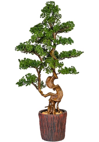 Kunstbonsai »Perreux«