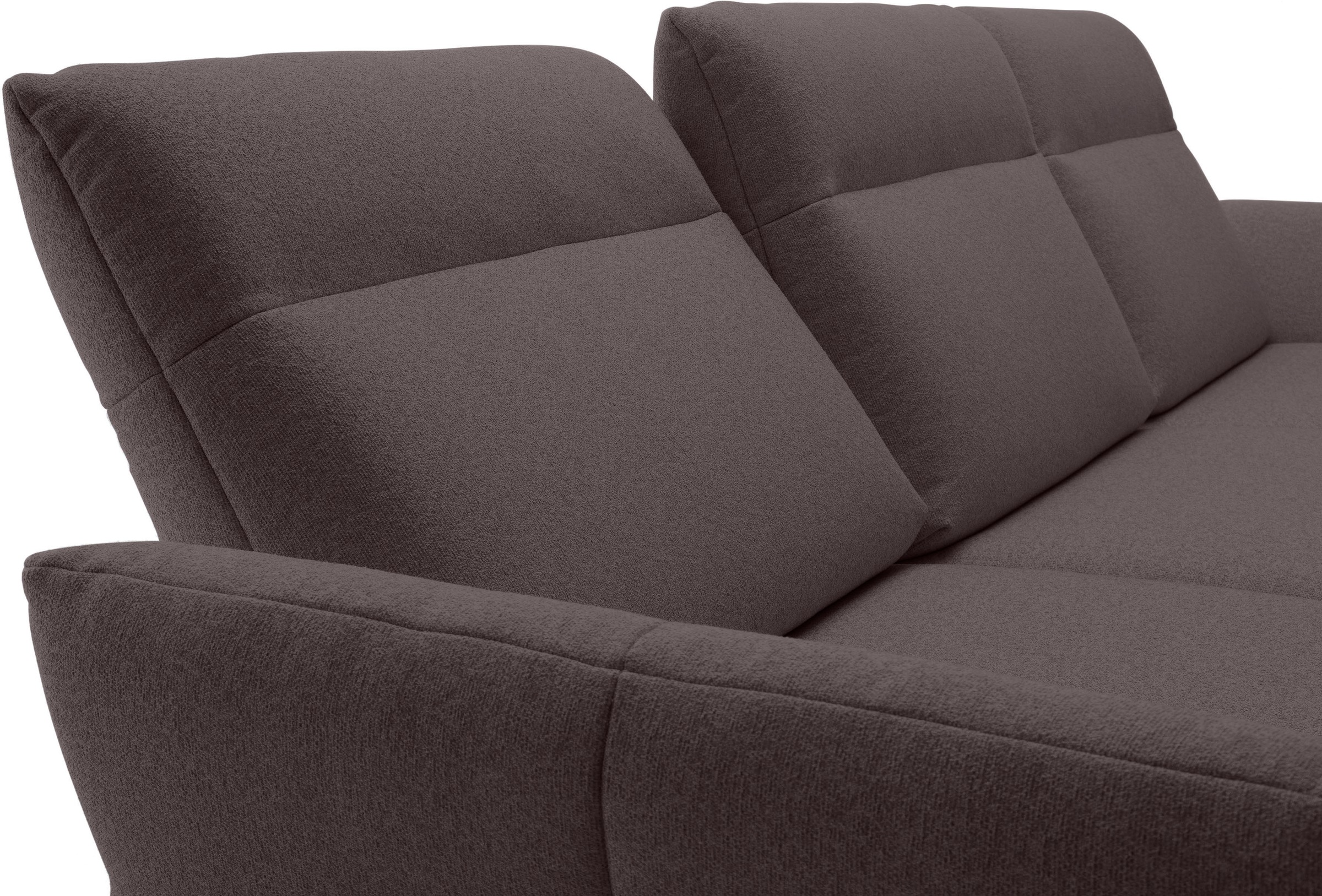 Creation BY ROLF BENZ Ecksofa »CR.460«, Sockel in Eiche, Alugussfüße in umbragrau, Breite 298 cm