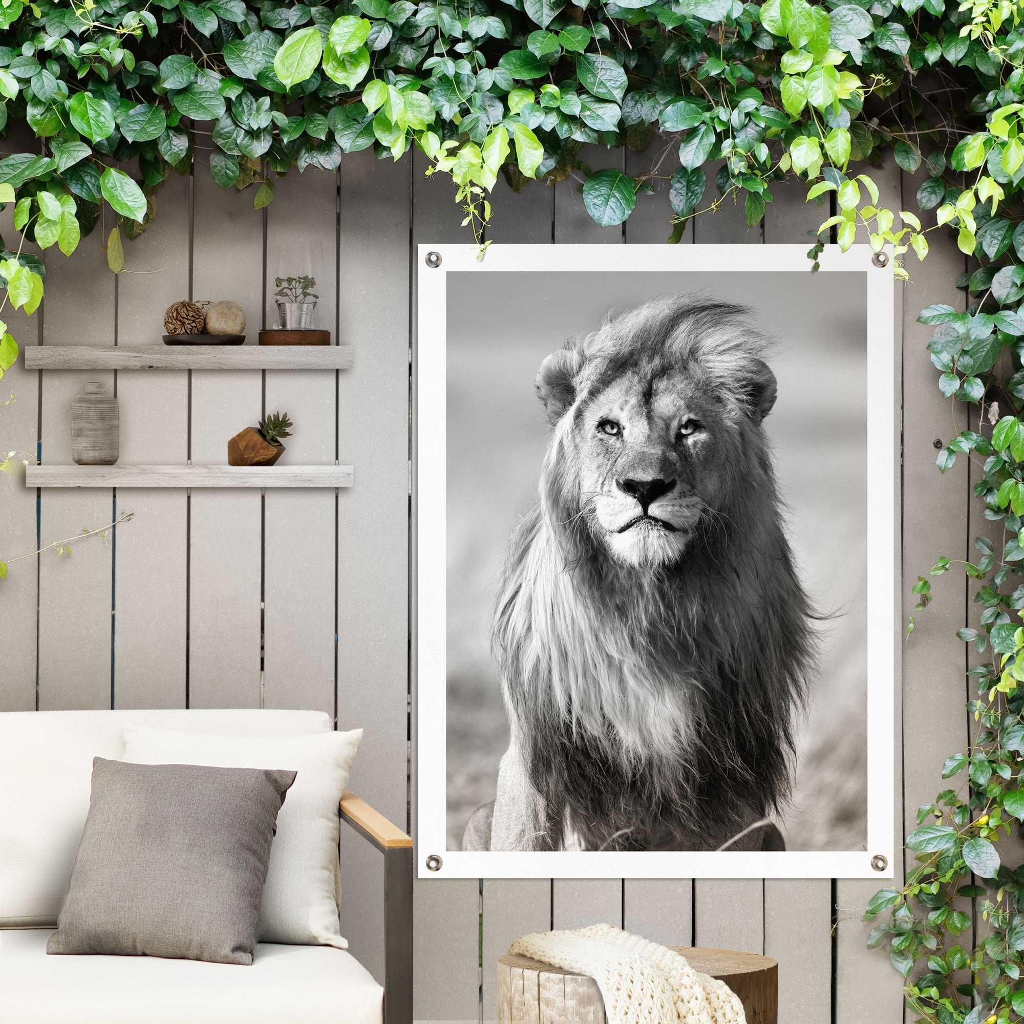 Reinders! Poster »Löwe«, Outdoor für Garten oder Balkon