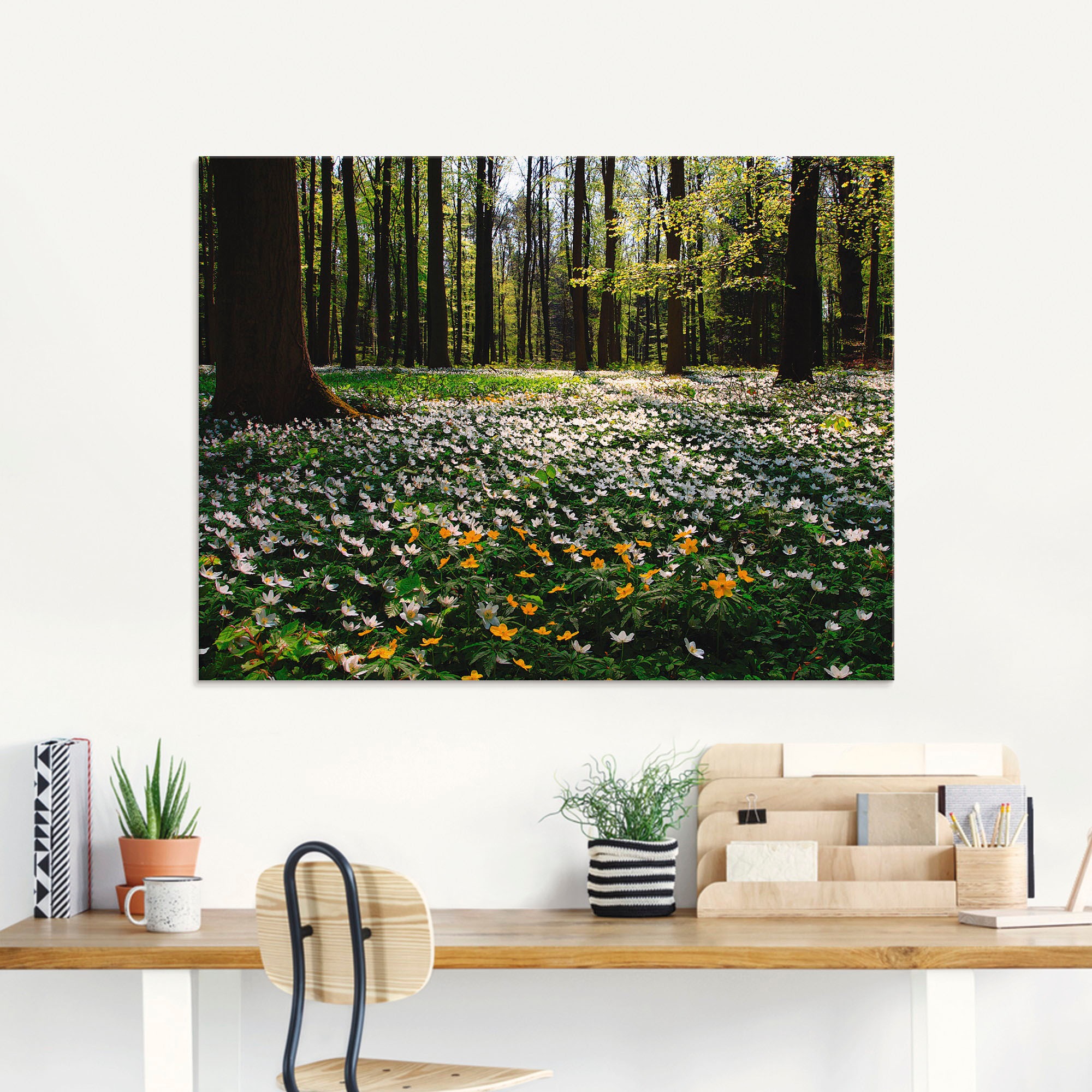 Artland Glasbild »Frühlingswald bedeckt mit Windröschen«, Wald, (1 St.), in günstig online kaufen