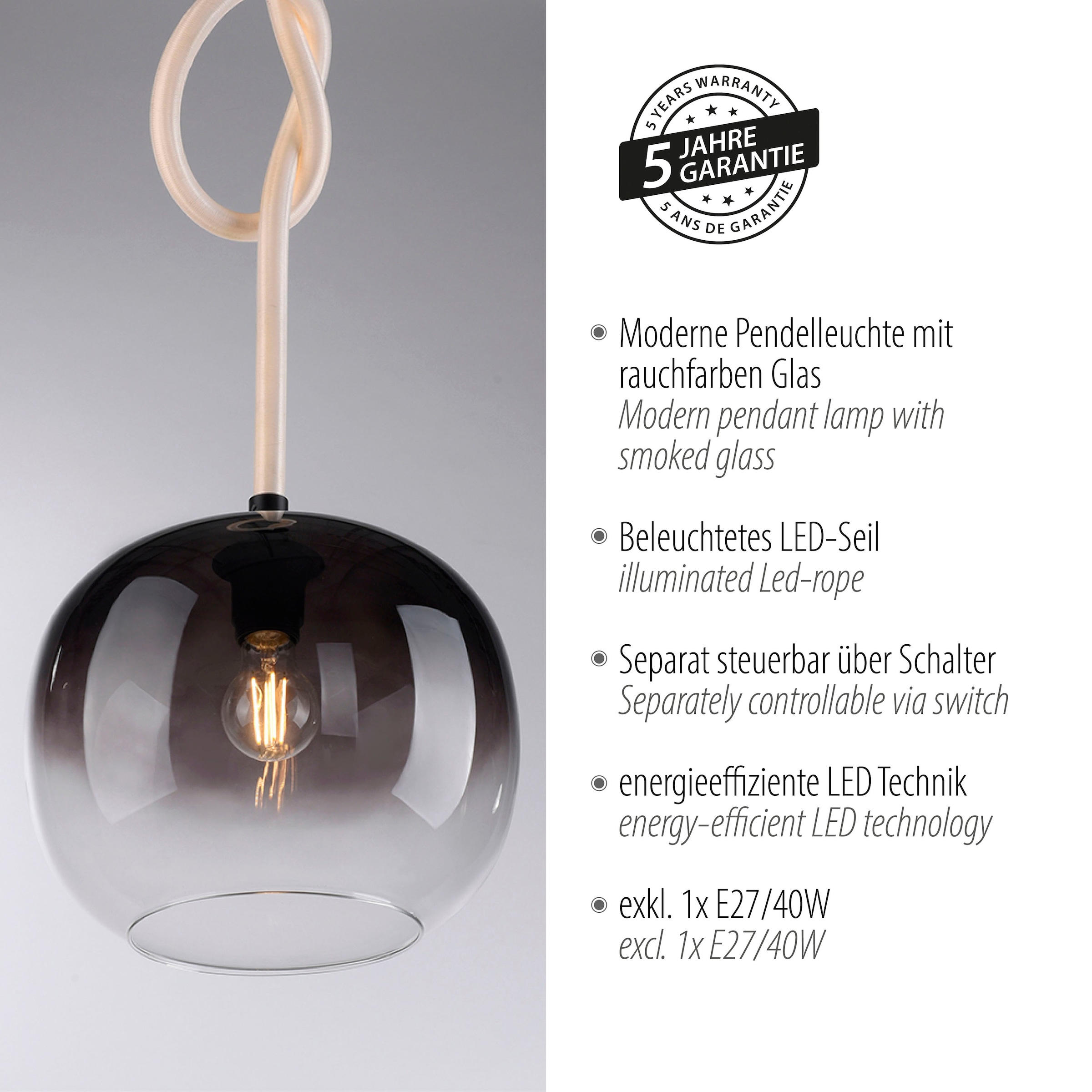 Paul Neuhaus Pendelleuchte »LUMA«, 2 flammig, Leuchtmittel LED-Board | LED fest integriert