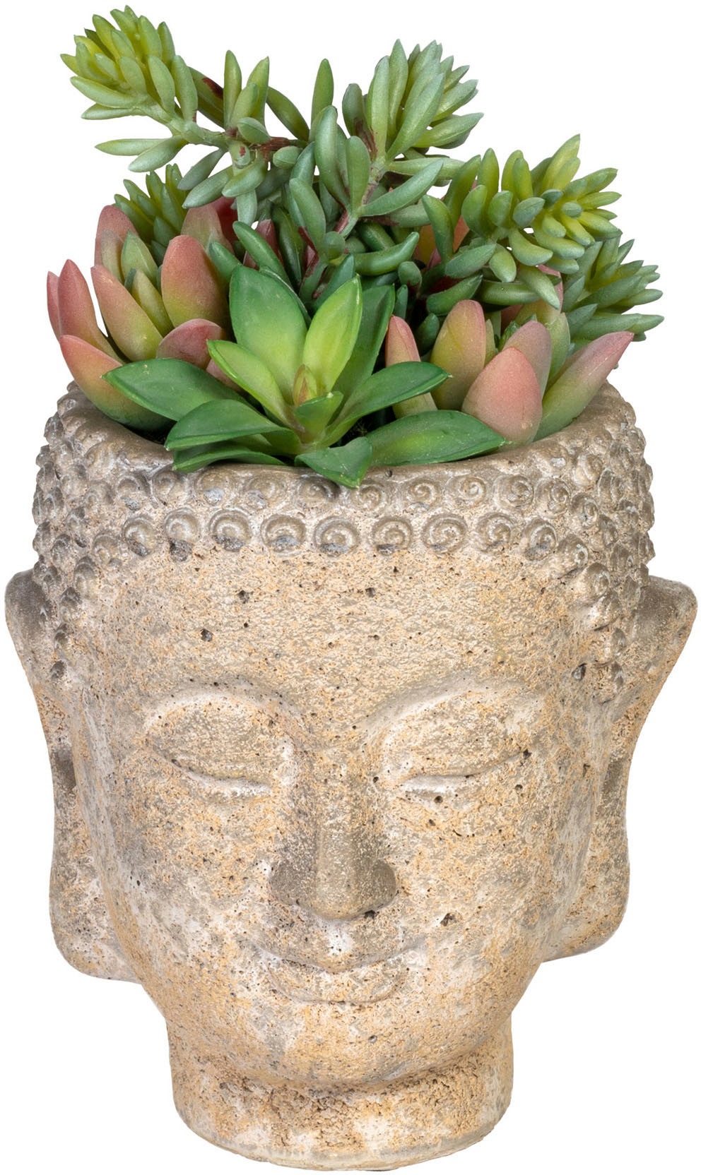 Creativ green Künstliche Zimmerpflanze »Sukkulentenarrangement«, (1 St.), im Gefäß aus... kaufen