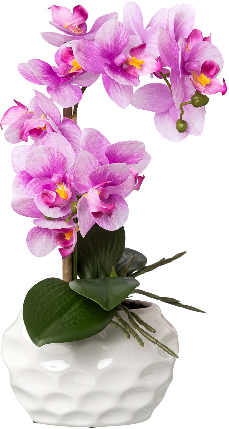 Creativ green Kunstorchidee »Deko-Orchidee Phalaenopsis im Keramiktopf«