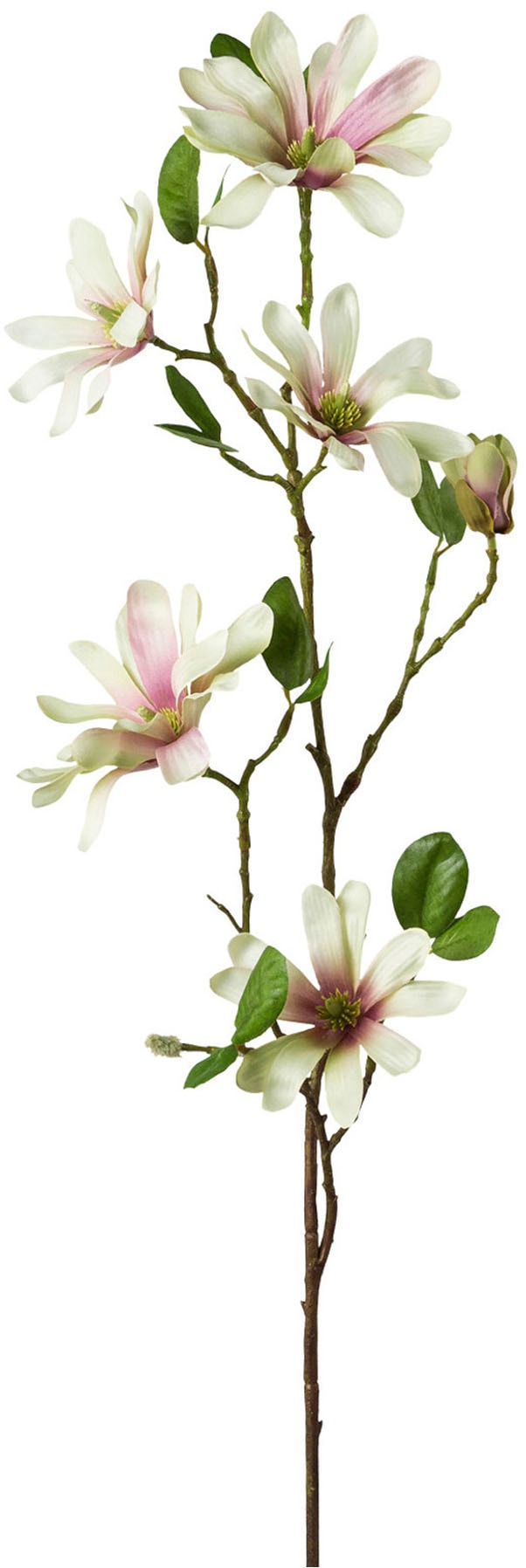Creativ green Kunstblume »Sternmagnolie«, mit großen Blüten