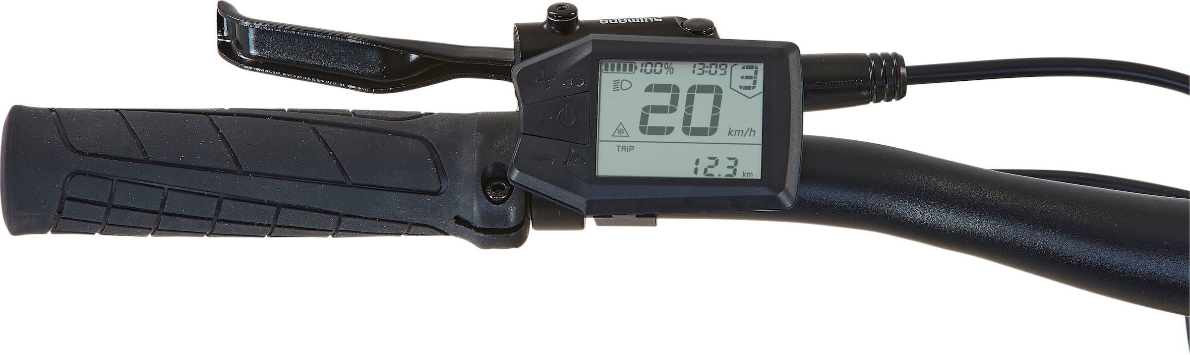 Prophete E-Bike »Dice 3.0«, 10 Gang, Shimano, Cues, Mittelmotor 250 W