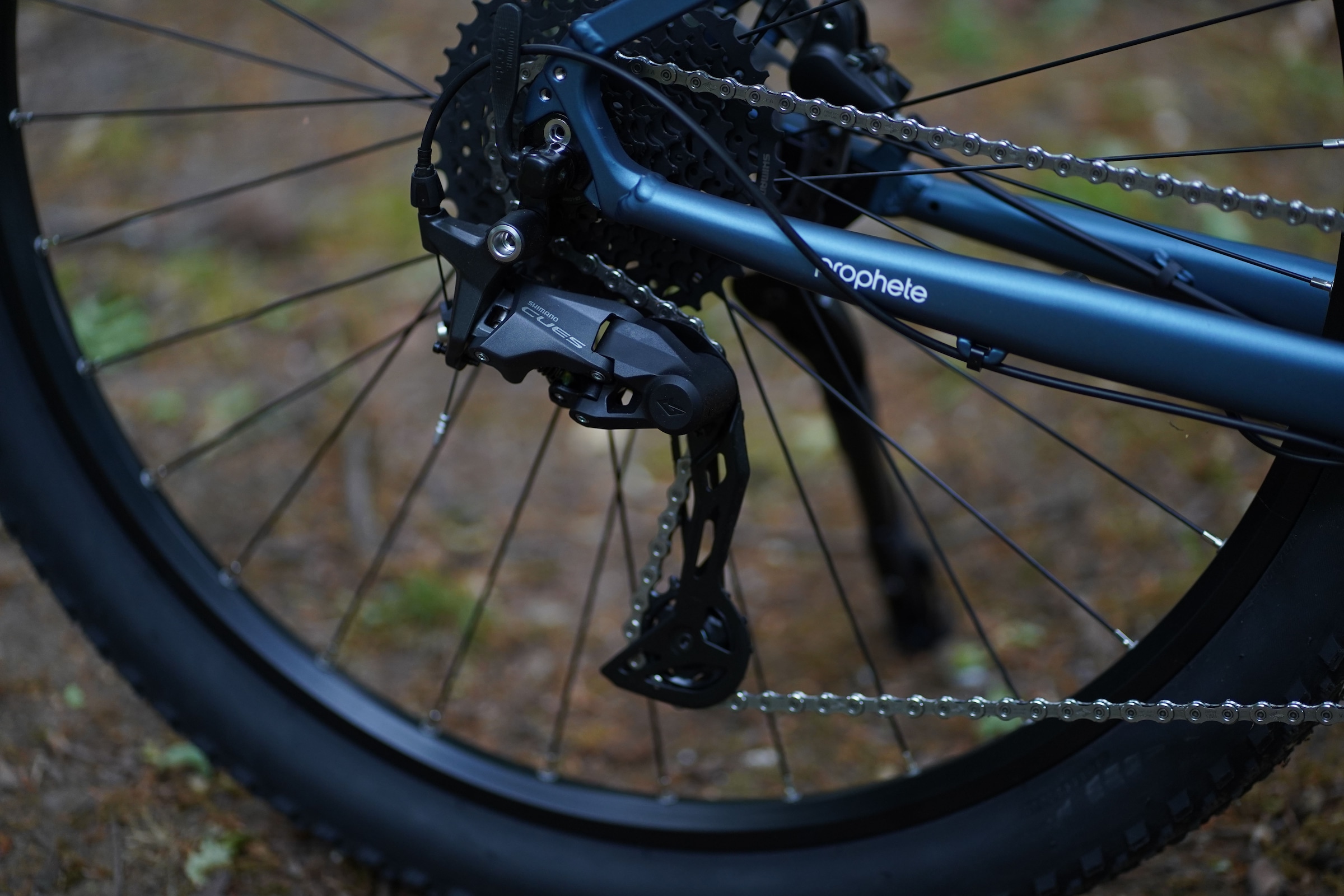 Prophete E-Bike »Dice 3.8«, 10 Gang, Shimano, Cues, Mittelmotor 250 W