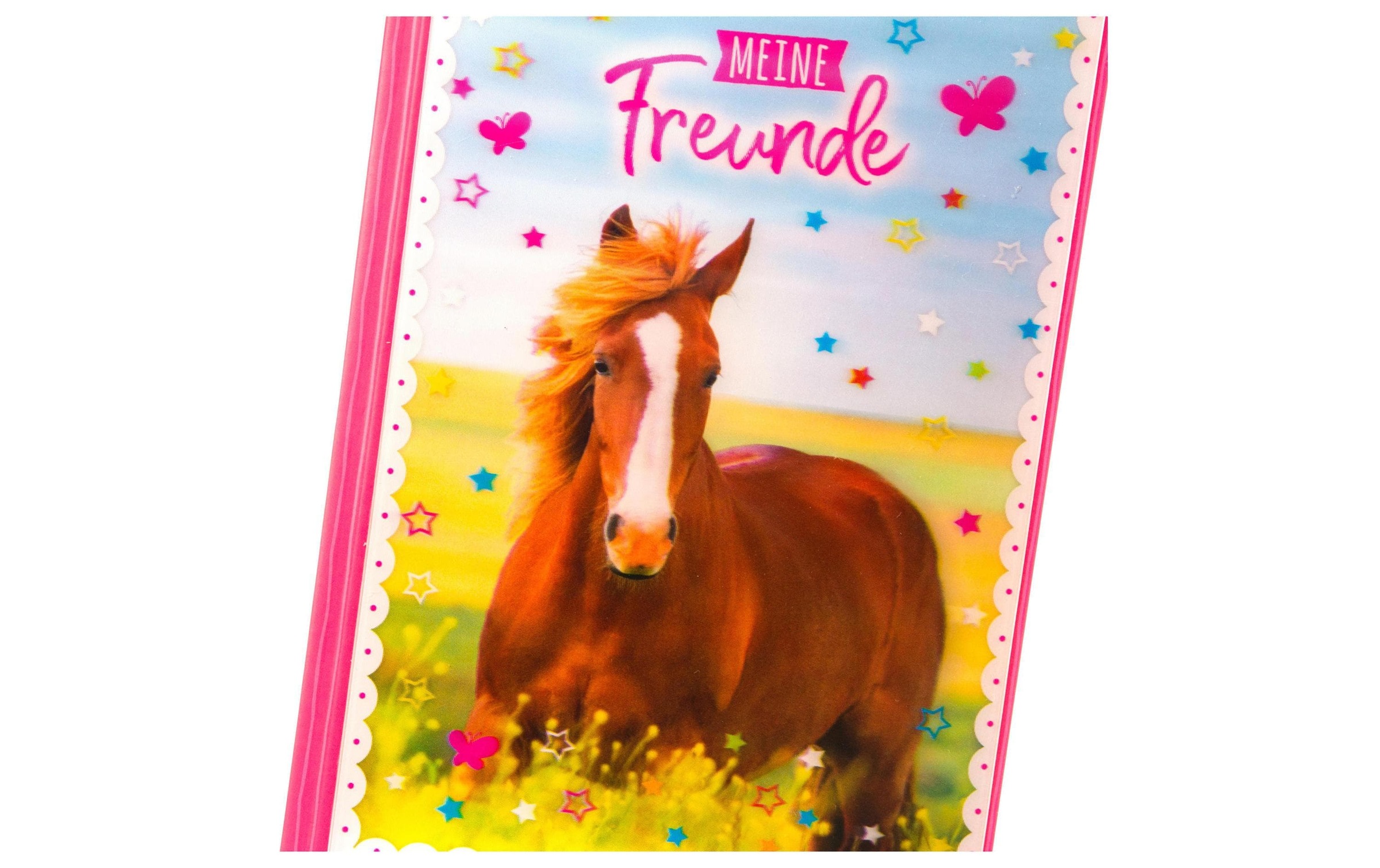 Goldbuch Poesiealbum »Freundebuch Pferdeliebe«