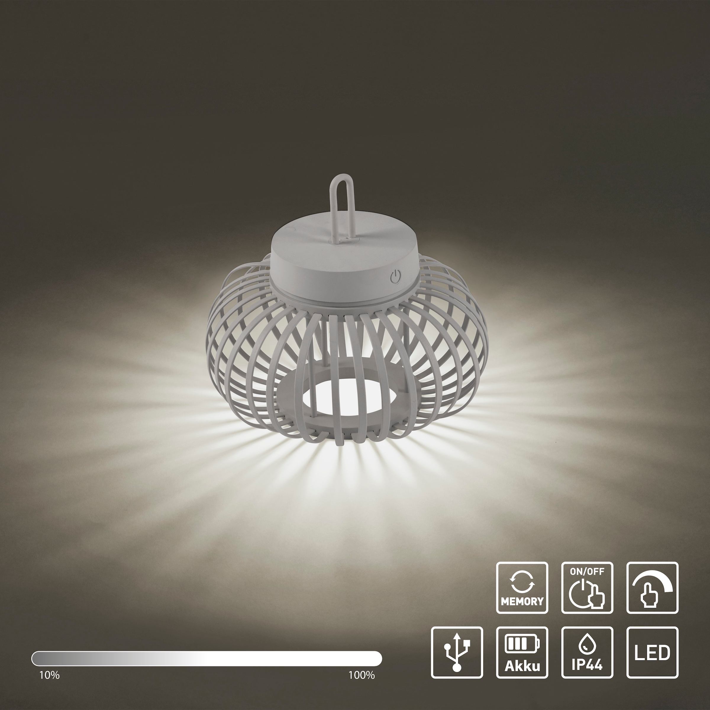 JUST LIGHT Pendelleuchte »AKUBA«, 1 flammig, Leuchtmittel LED-Modul | LED fest integriert, Akkuleuchte