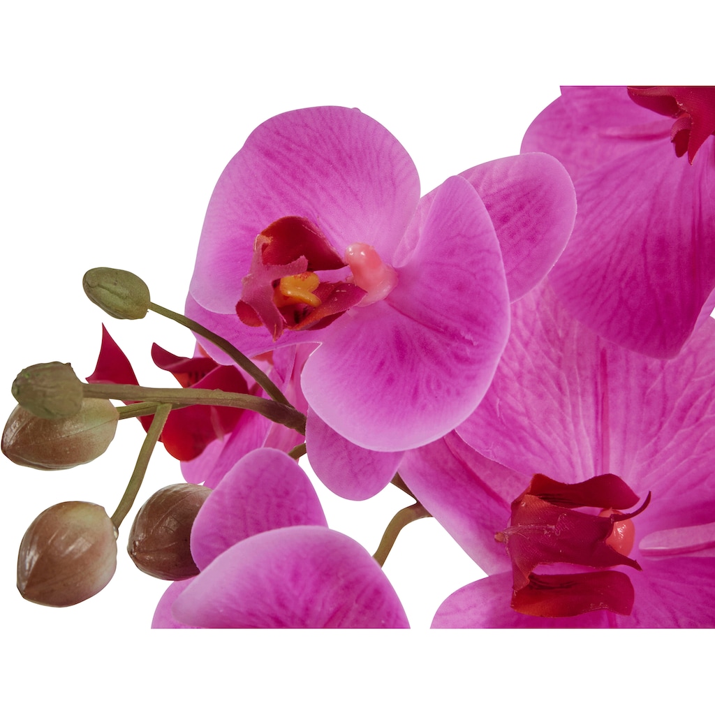 Leonique Kunstpflanze »Orchidee«