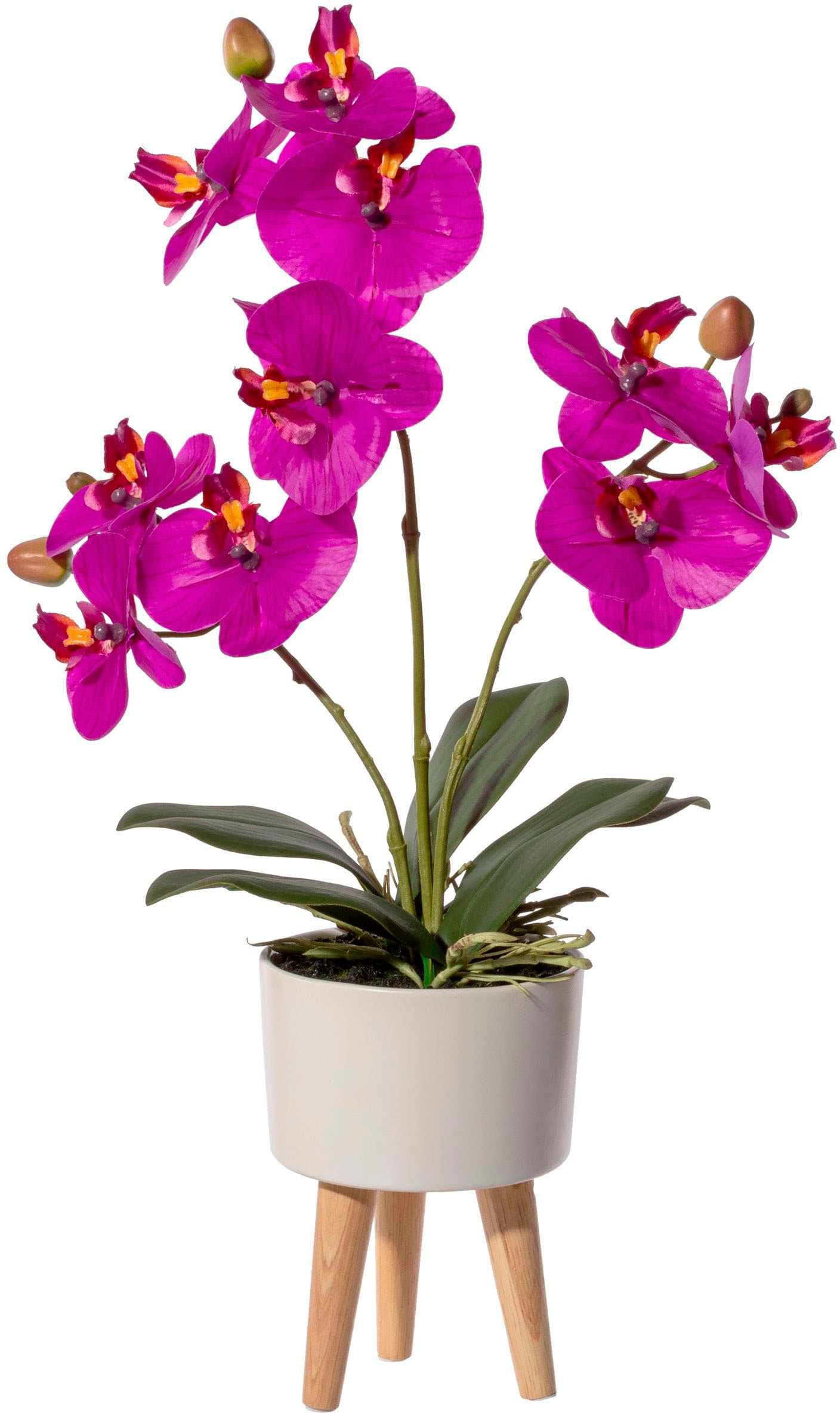 kaufen Kunst-Orchideen günstig