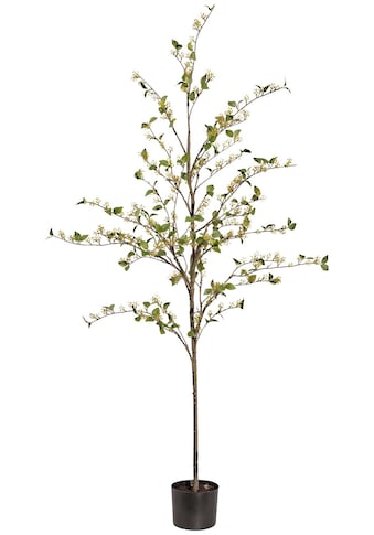 Creativ green Kunstpflanze »Viburnum«, (1 St.), im Kunststofftopf kaufen