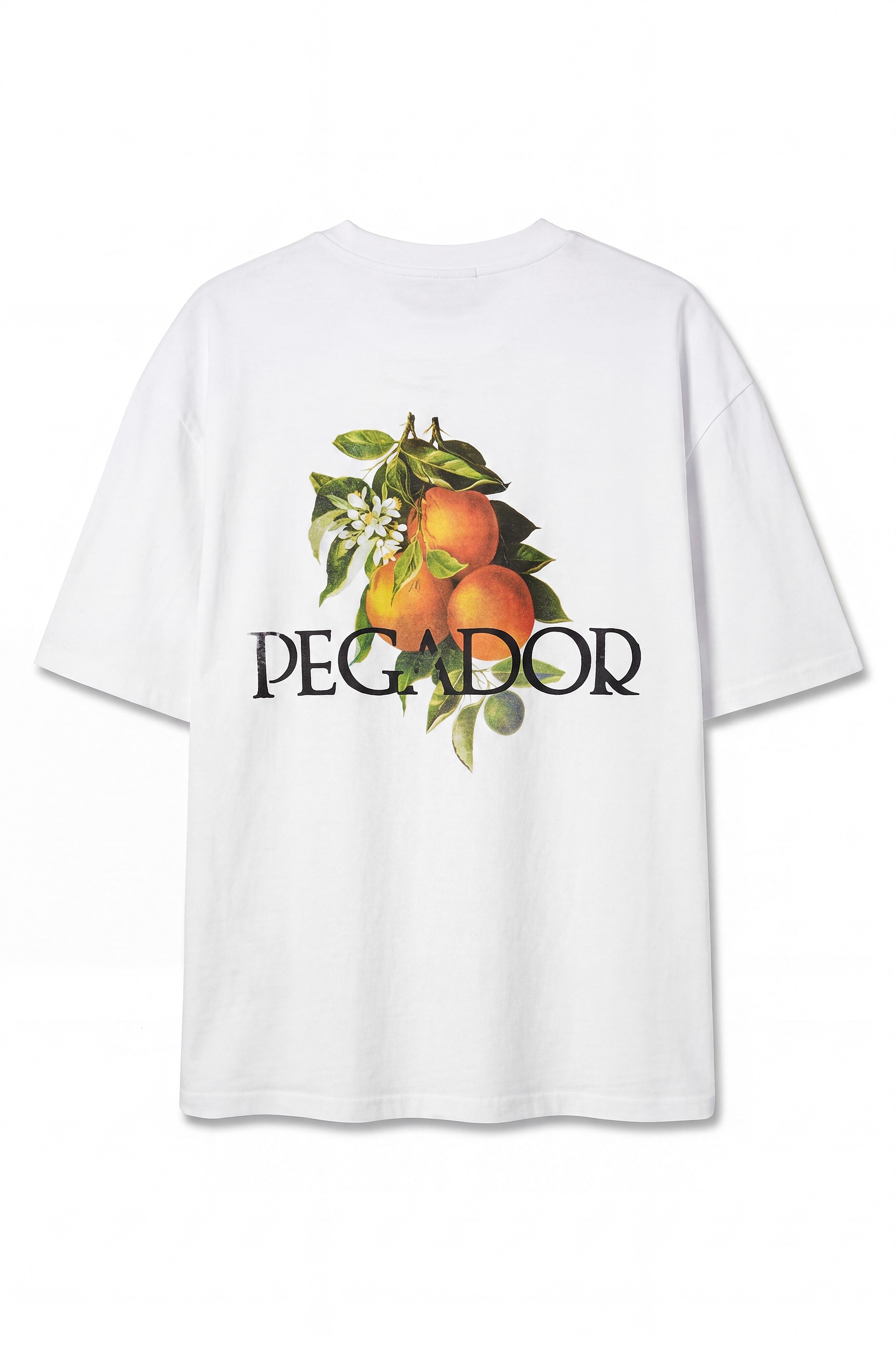 PEGADOR Rundhalsshirt »VIBORG OVERSIZED TEE«