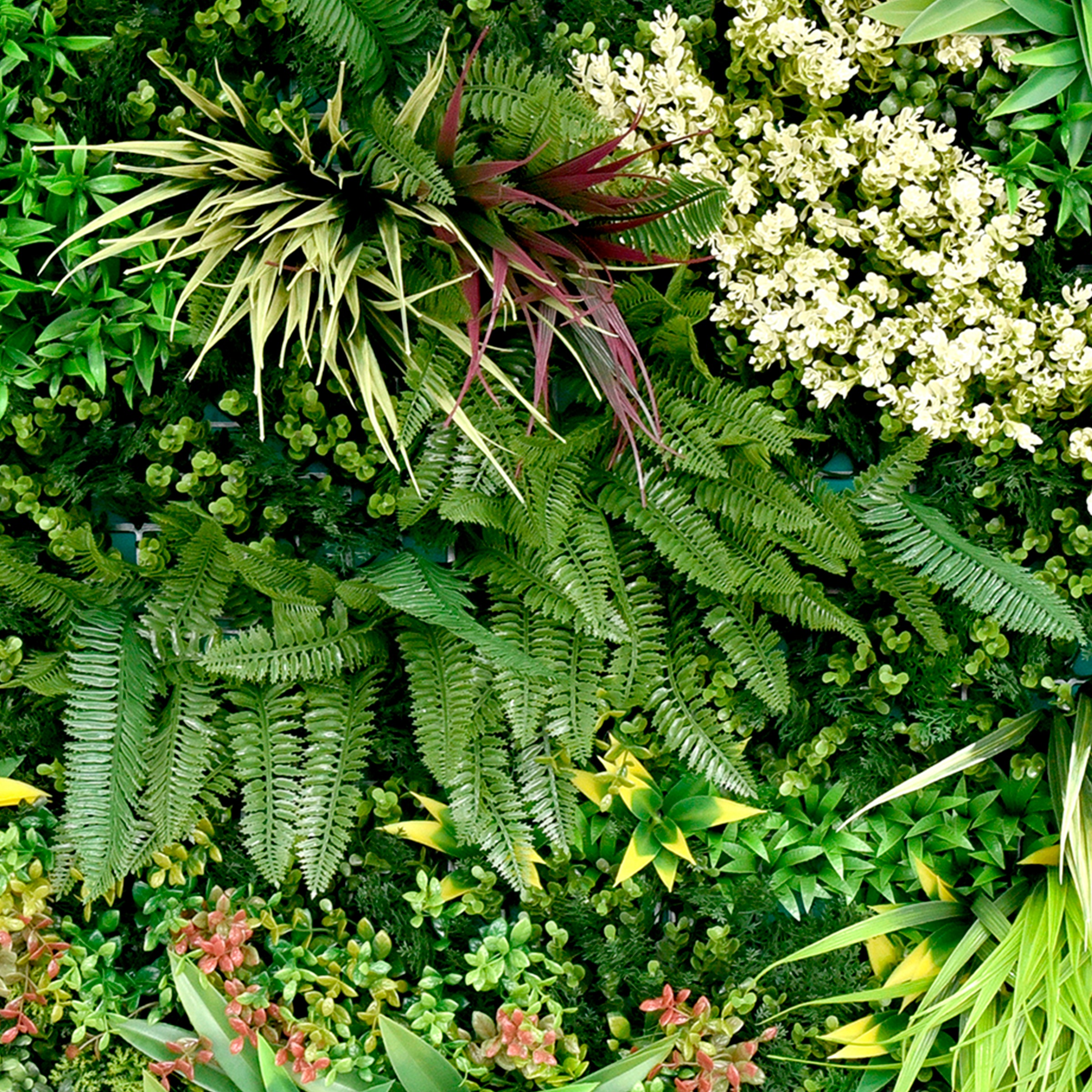 Primaflor-Ideen in Textil Kunstpflanze »Kunstpflanze Pflanzenwand 100x100« günstig online kaufen