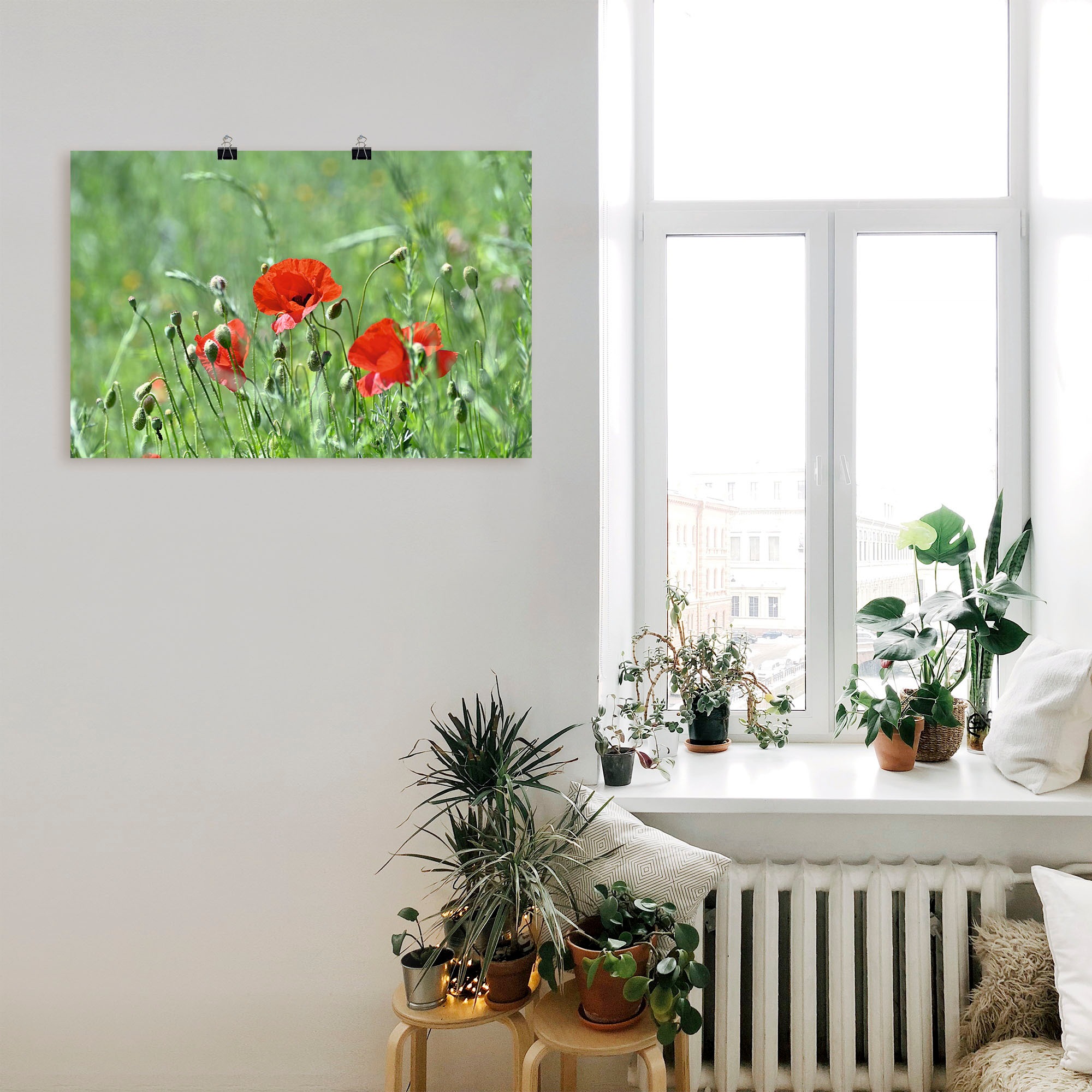 Artland Wandbild »Mohnblumen im Gras«, Blumenbilder, (1 St.), als Leinwandbild, Poster in verschied. Größen
