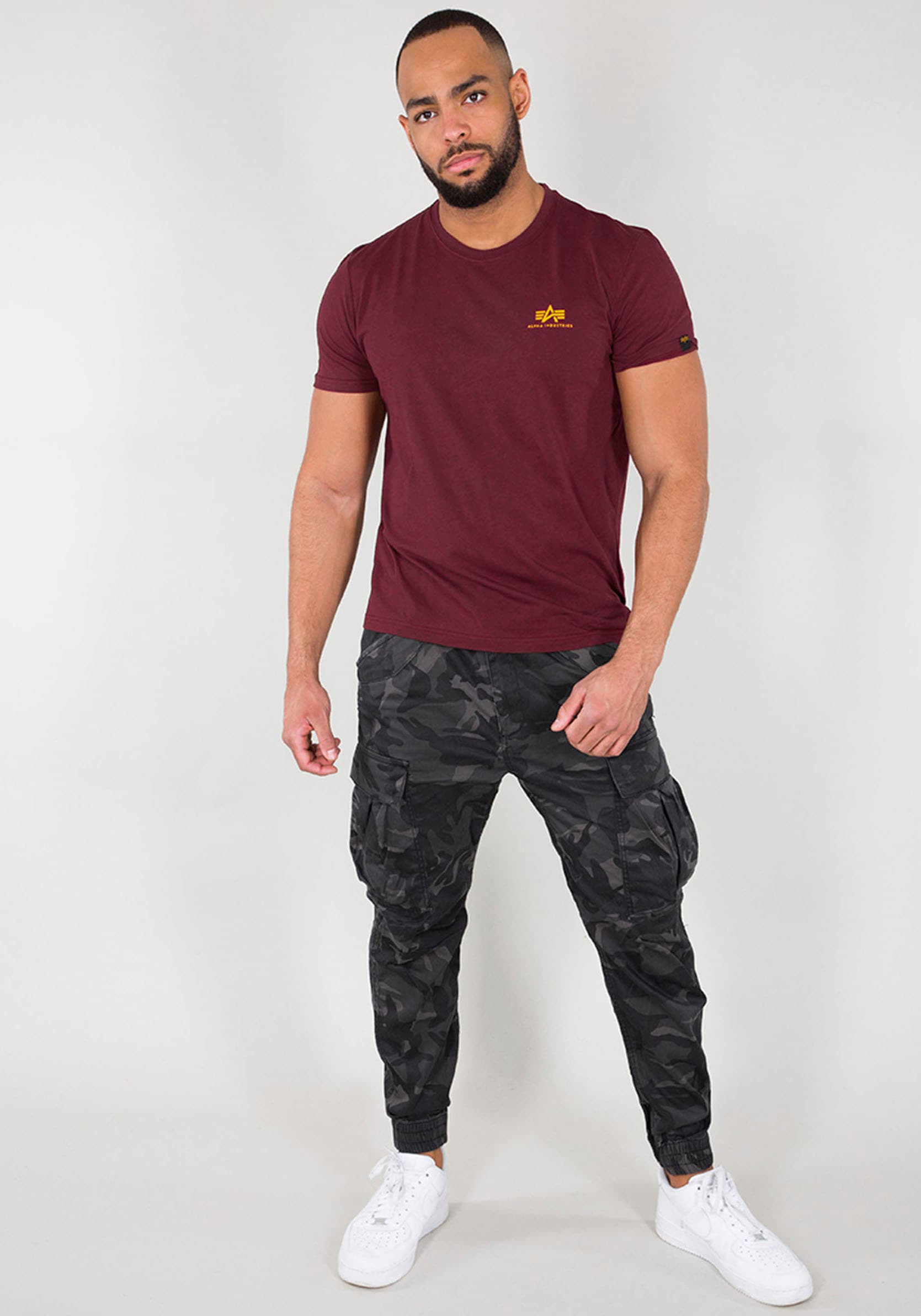 Alpha Industries Rundhalsshirt »BASIC T SMALL LOGO«