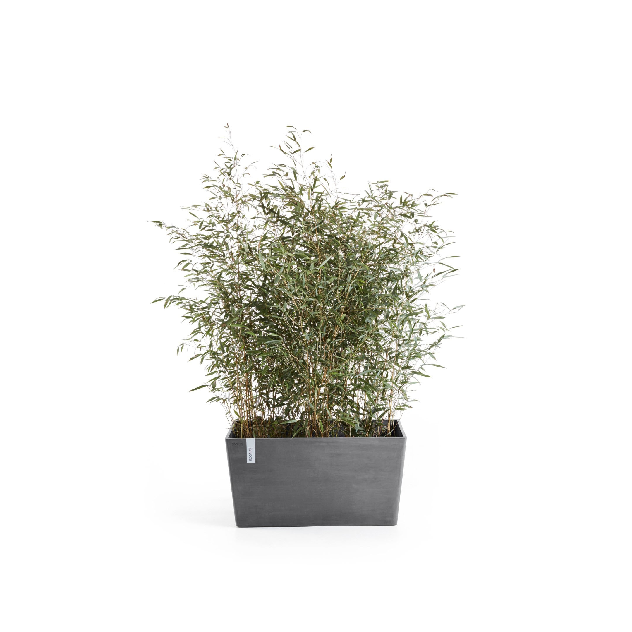 ECOPOTS Blumentopf »Paris«, BxTxH: 60x26x40 cm