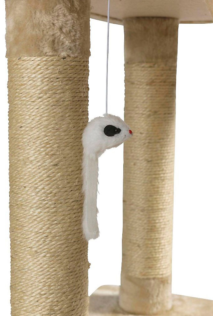 ABUKI Kratzbaum »Coco«, hoch, BxTxH: 50x50x170 cm, inkl. 4m Rolle Sisal