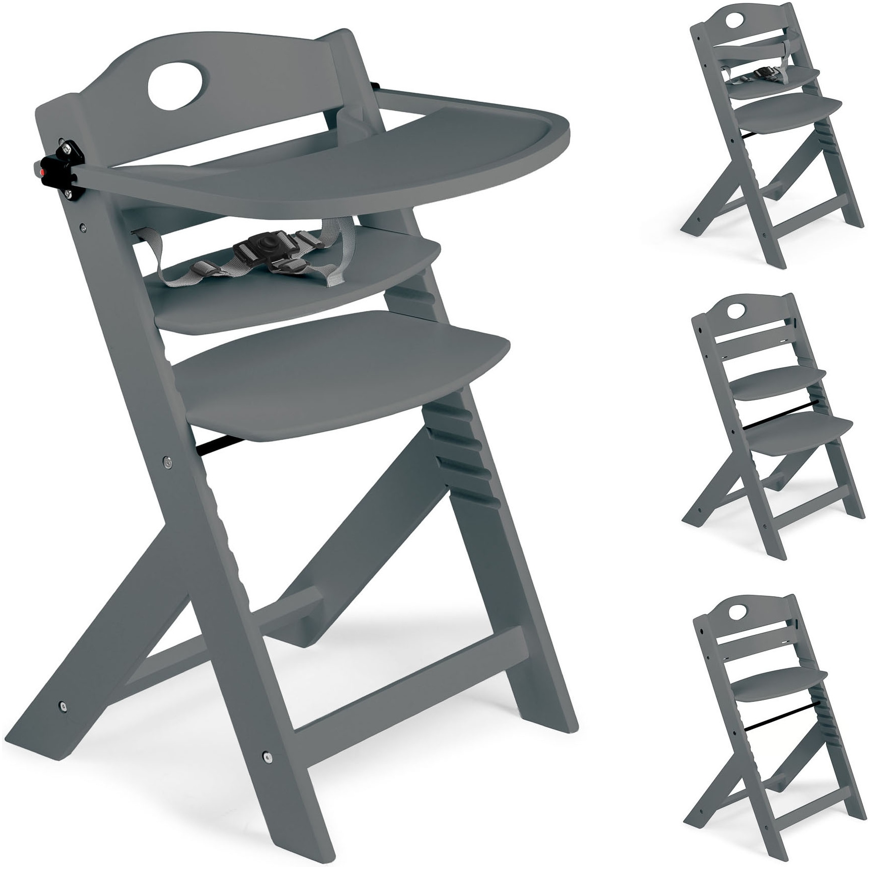 BabyGo Hochstuhl »Family Pro« ()