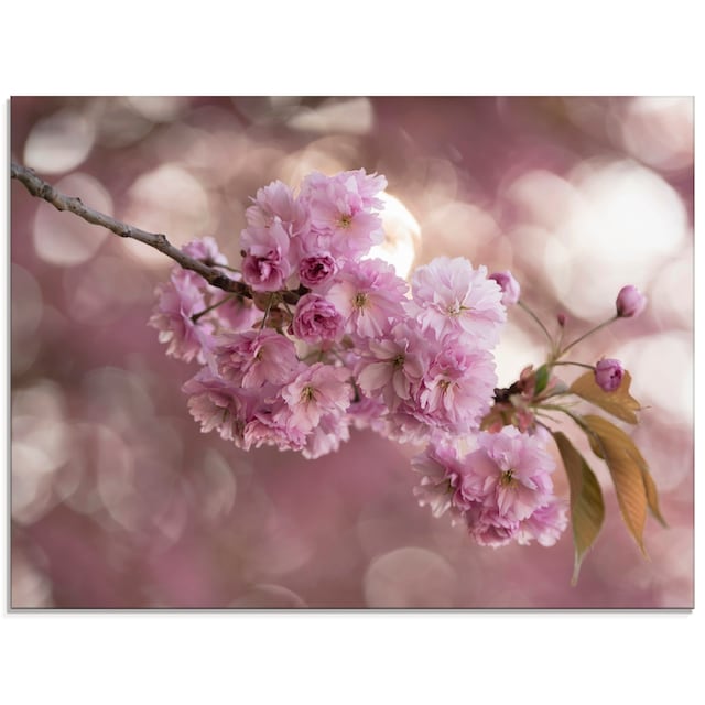 (1 in auf »Japanische bestellen Love Größen verschiedenen in Glasbild Rechnung Blumen, Kirschblüte St.), III«, Artland