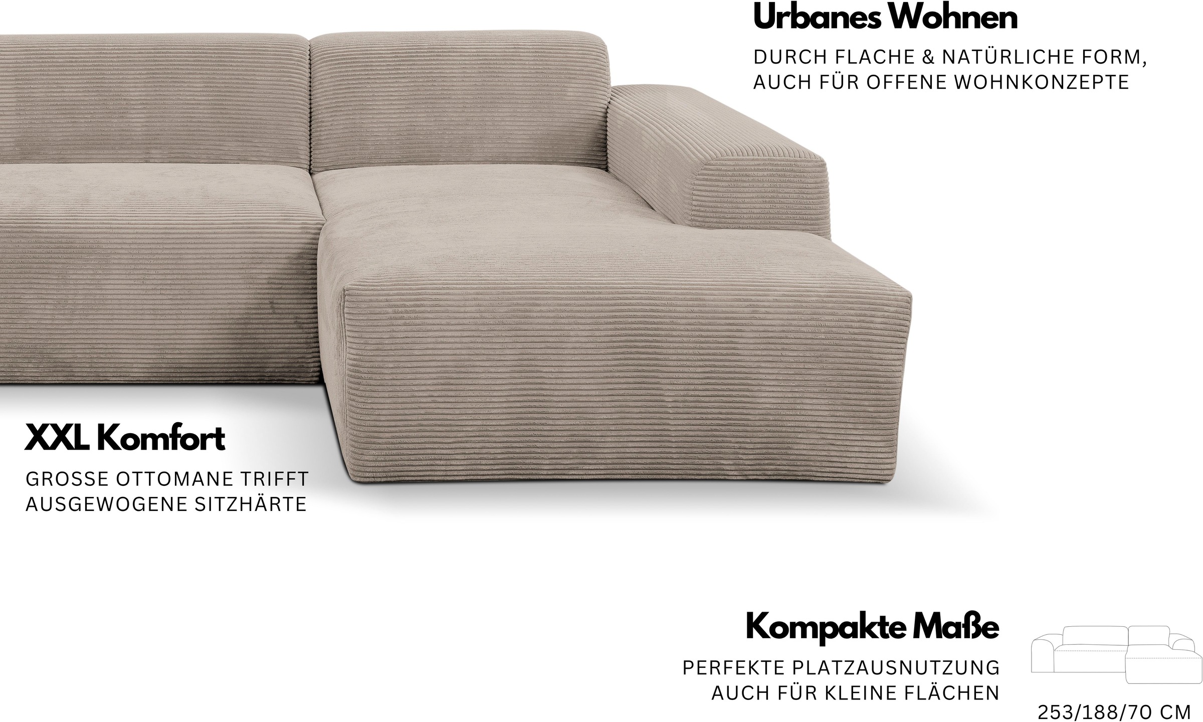 WERK2 Ecksofa »Zeus-L komfortabel und zeitlos, bequem, Breite 253cm, L-Form« moderne Optik mit abgerundeten Kanten