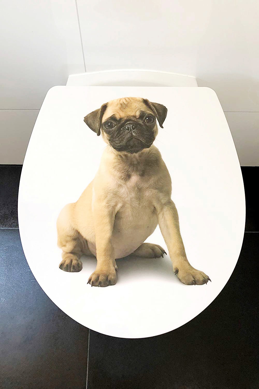 ADOB WC-Sitz »Mops«, Absenkautomatik, zur Reinigung auf Knopfdruck abnehmbar